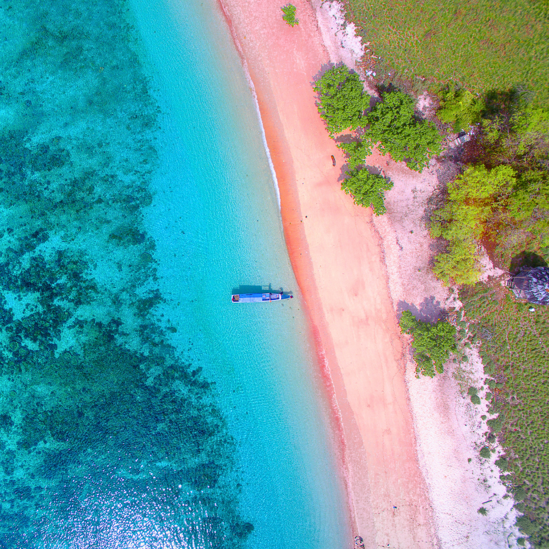 Aerial view of the famous Pink Beach in Komodo National Park, where vibrant coral reefs, crystal clear water and pink sand create one of Indonesia's most iconic coastal landscapes.