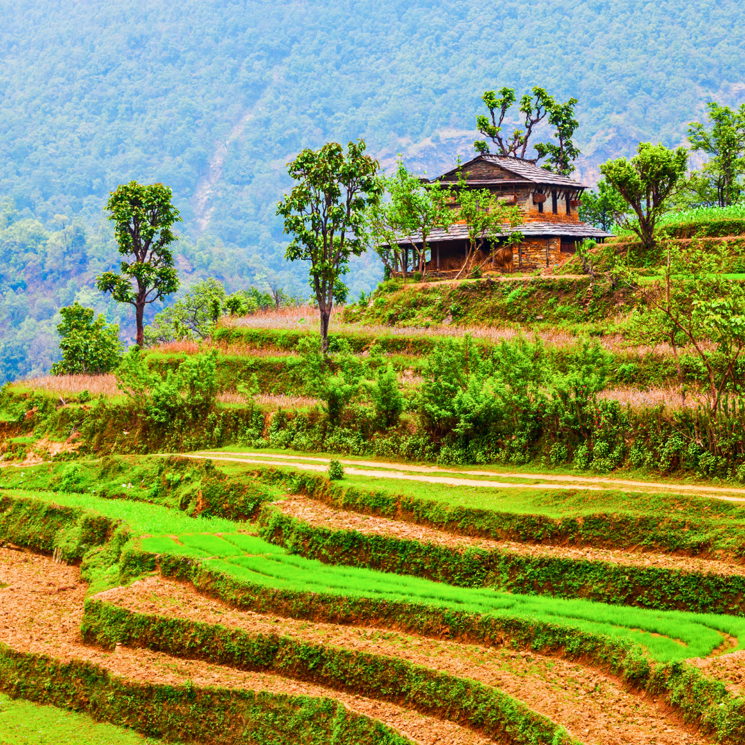 Terraced farmland and traditional village houses in the Himalayan foothills of Nepal