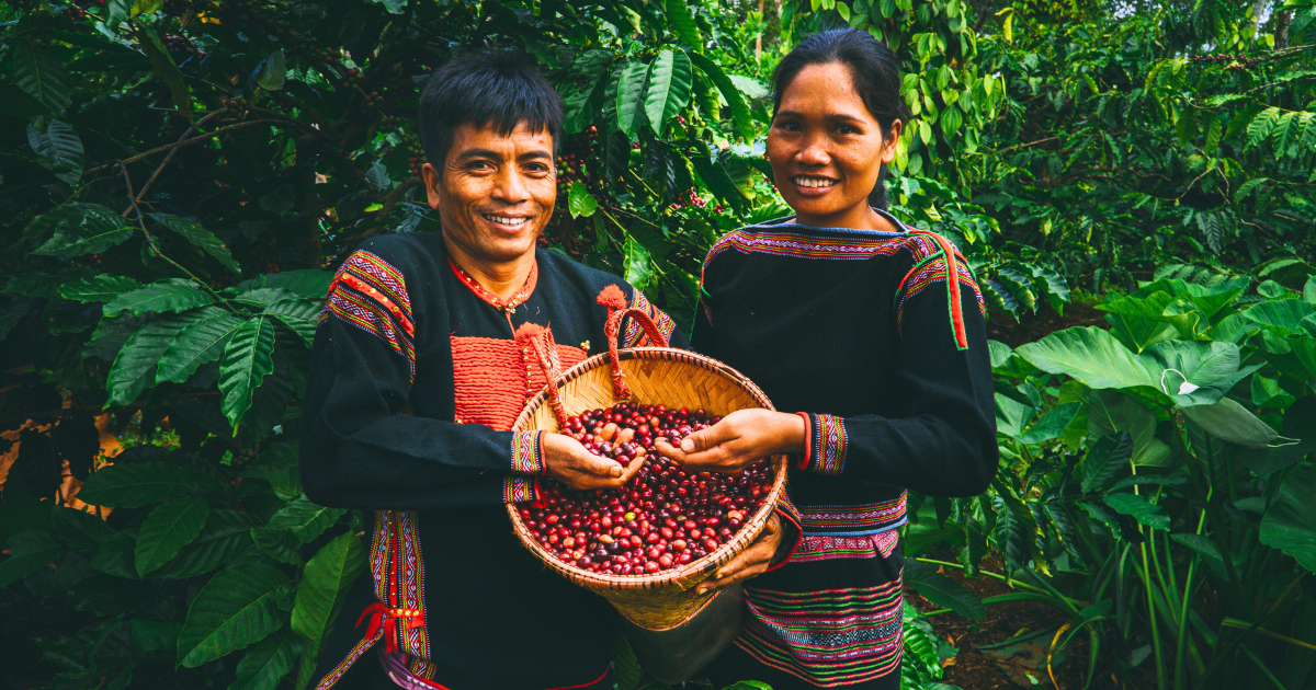 Two coffee farmers in traditional Central Highlands clothing holding a basket of freshly picked coffee cherries