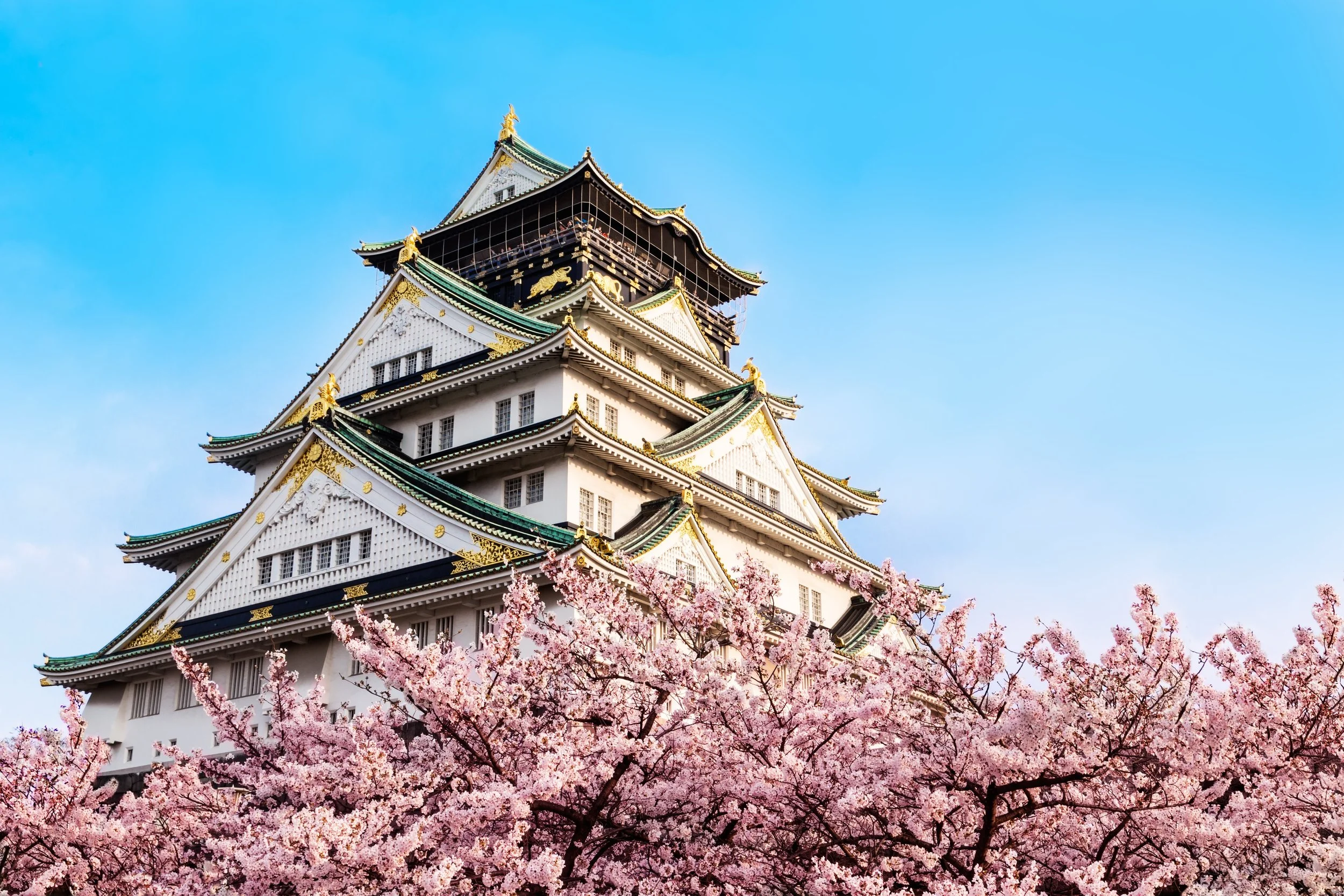 Hidden Gems Of Japan Small Group Tour
