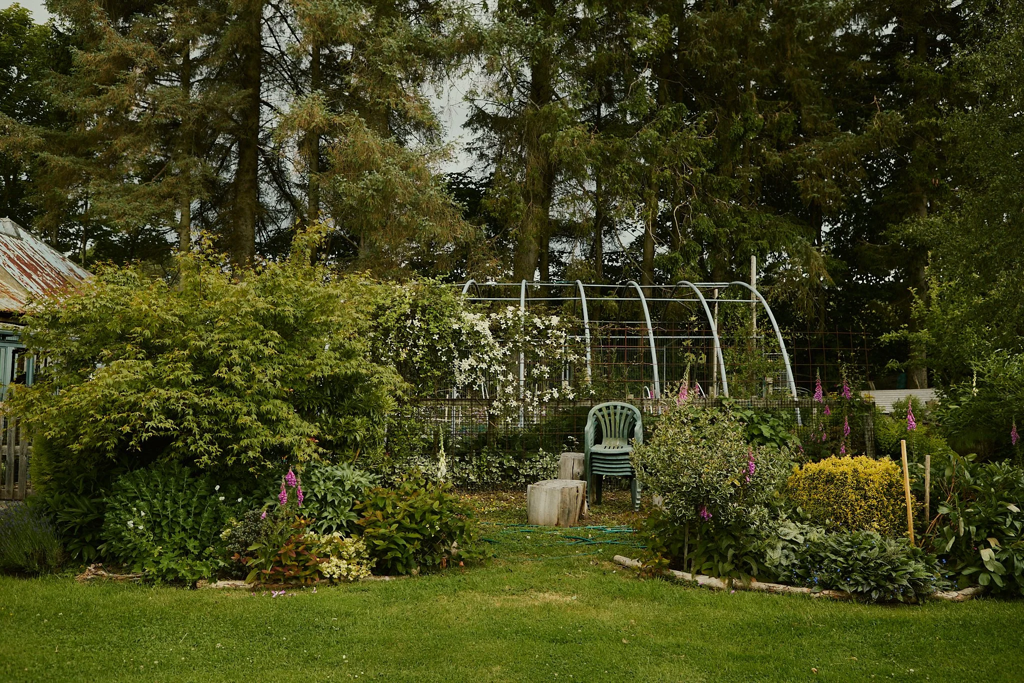 Spouse Burnside Croft - Scottish Flower Grower's Collective 7.jpg