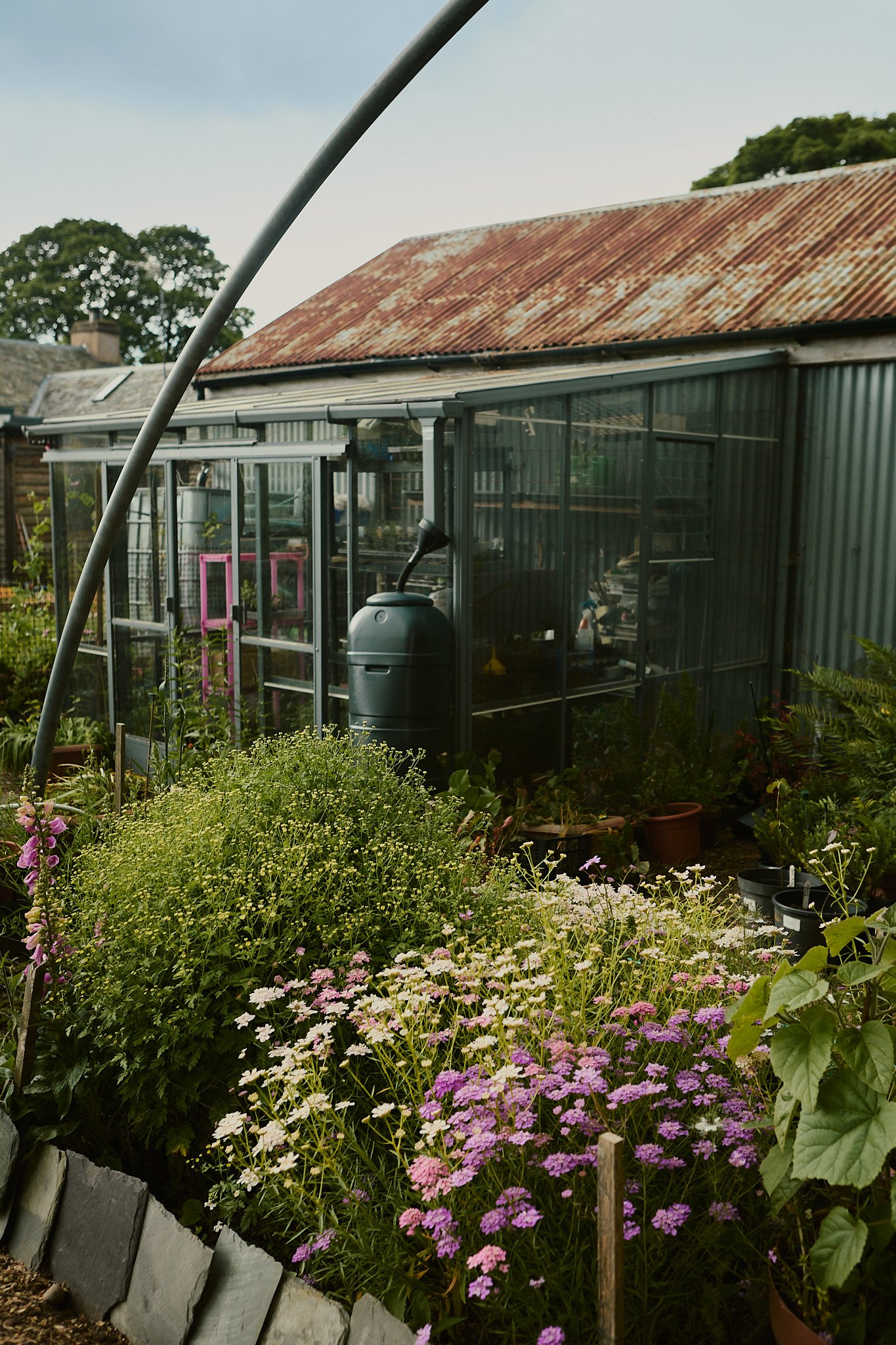 Spouse Burnside Croft - Scottish Flower Grower's Collective 5.jpg