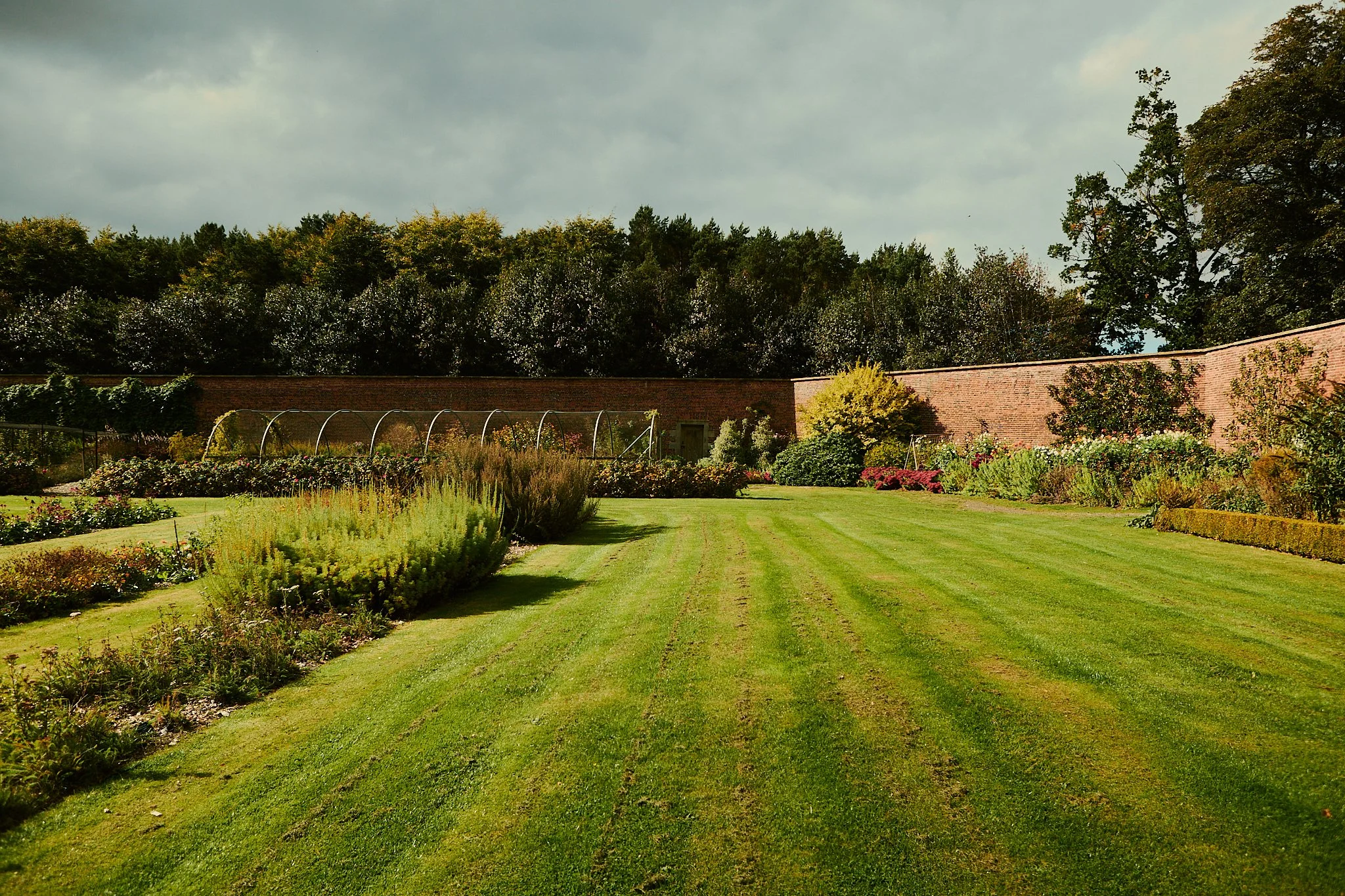 Spouse Rosebery Estate - Scottish Flower Grower Collective 147.jpg