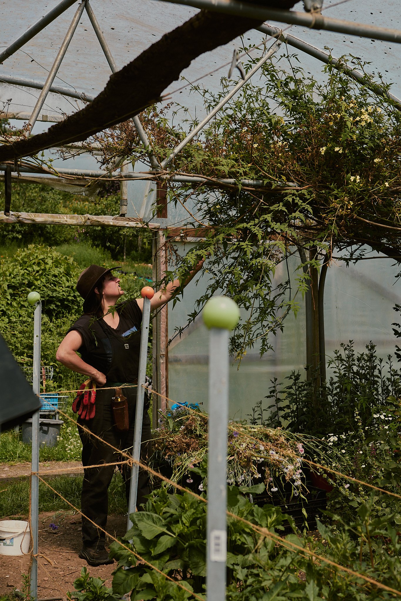 Spouse Tomnaha - Scottish Flower Grower's Collective 10.jpg
