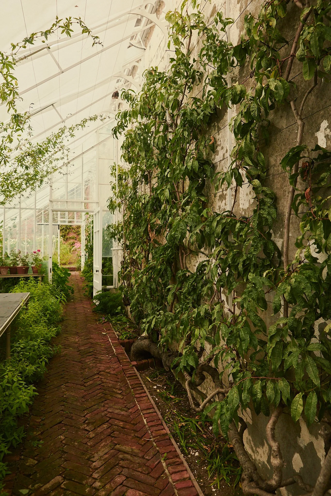 Spouse Rosebery Estate - Scottish Flower Grower Collective 169.jpg