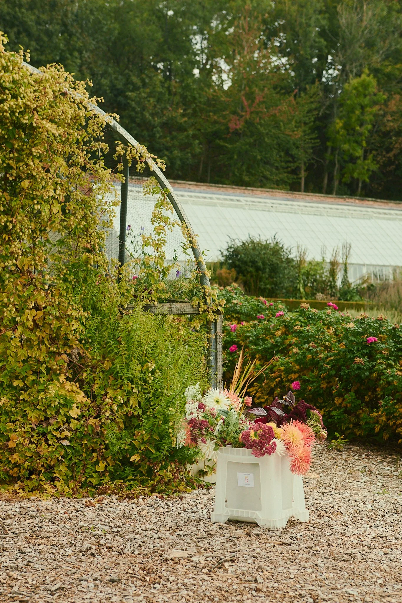 Spouse Rosebery Estate - Scottish Flower Grower Collective 182.jpg