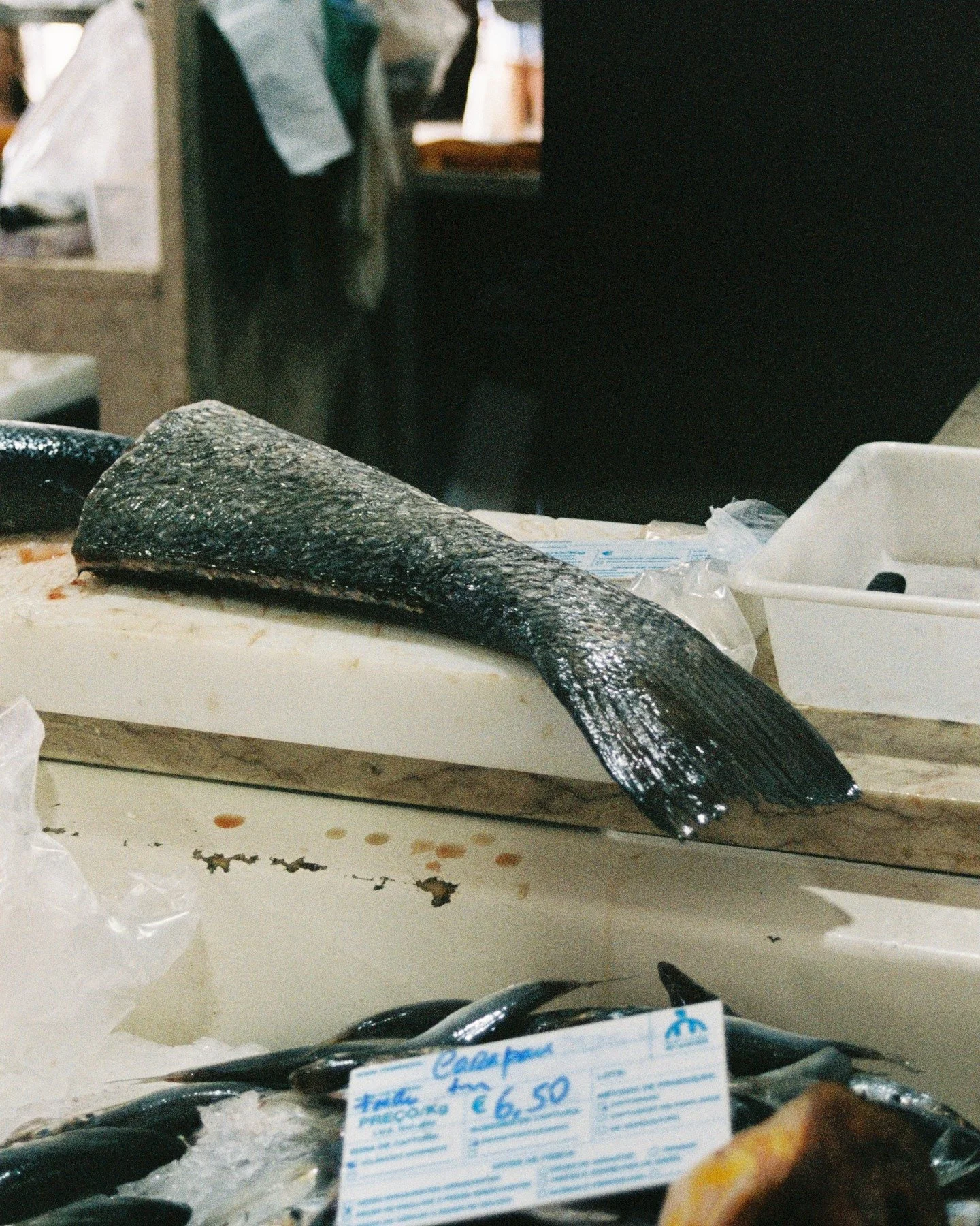 Peixe em Portugal em filme