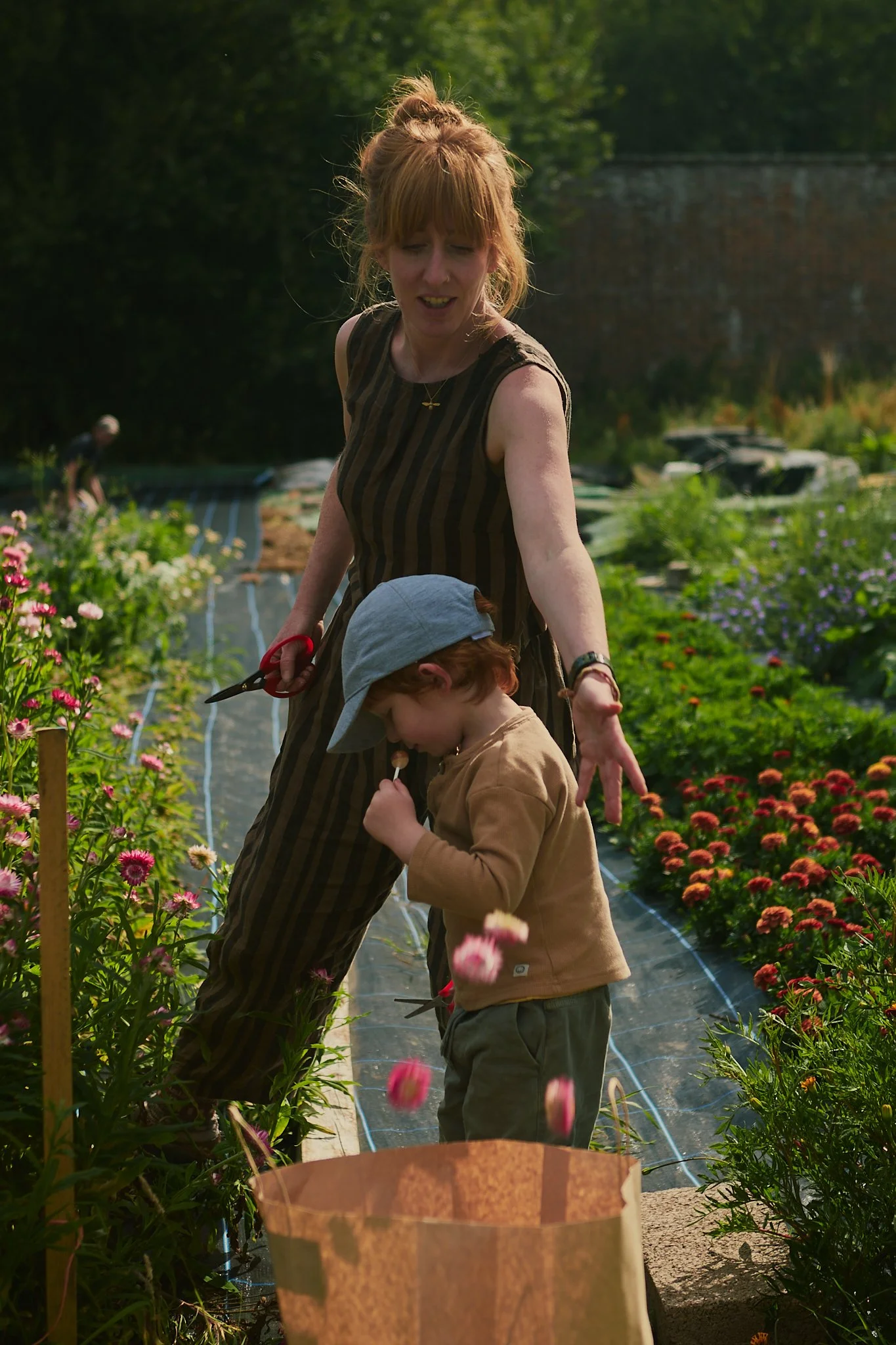 Spouse Pyrus - Scottish Flower Grower's Collective 68.jpg