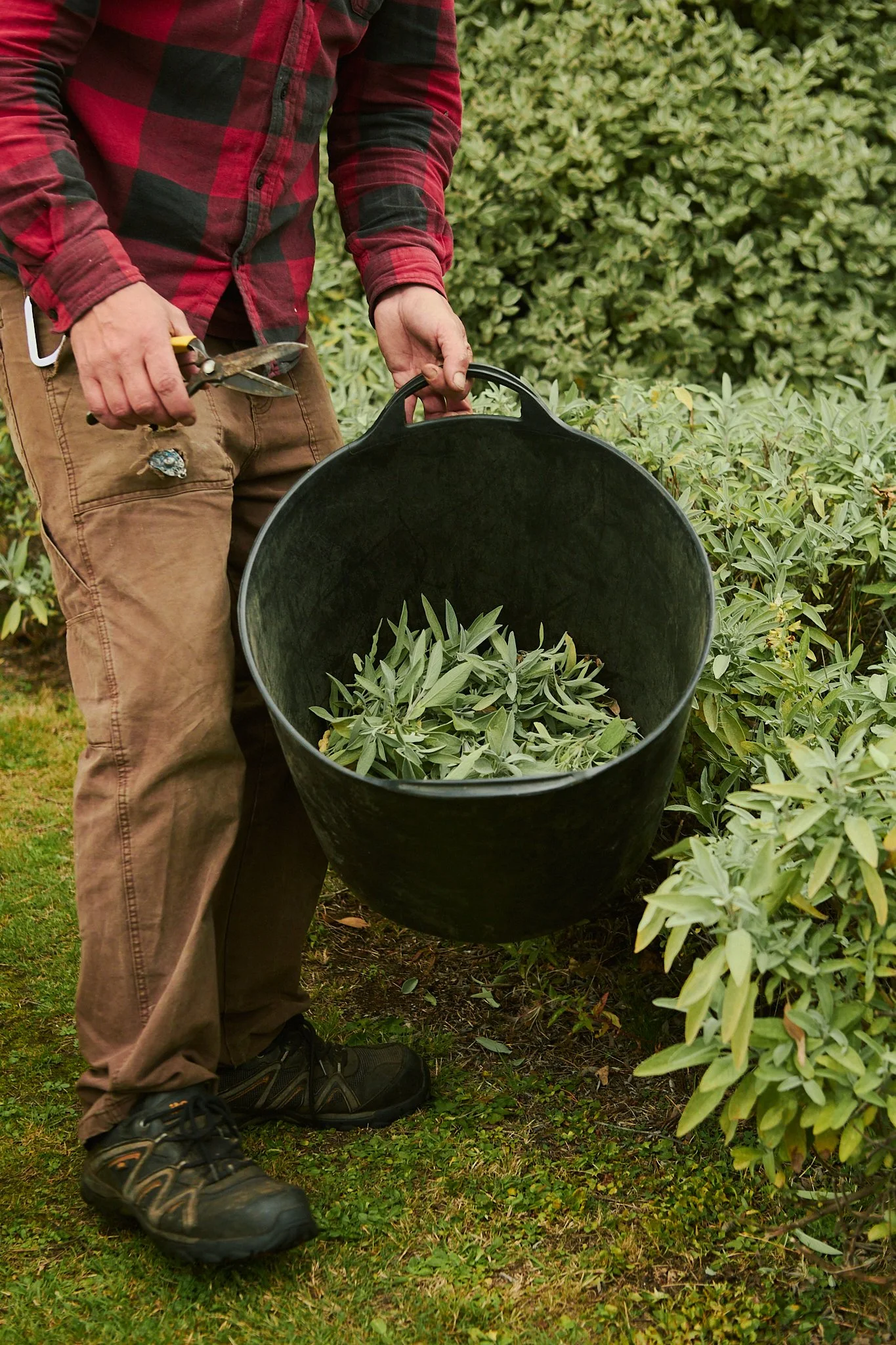 Spouse Rosebery Estate - Scottish Flower Grower Collective 162.jpg