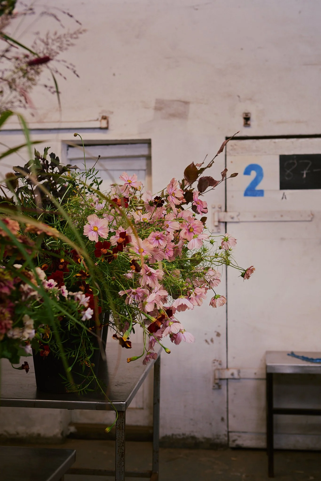 Spouse Edinburgh Hub - Scottish Flower Grower Collective 13.jpg