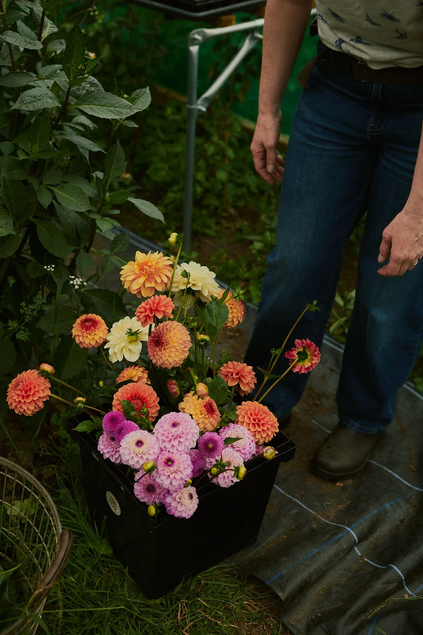 Spouse East Lothian Flower Farm - Scottish Flower Grower's Collective 48.jpg