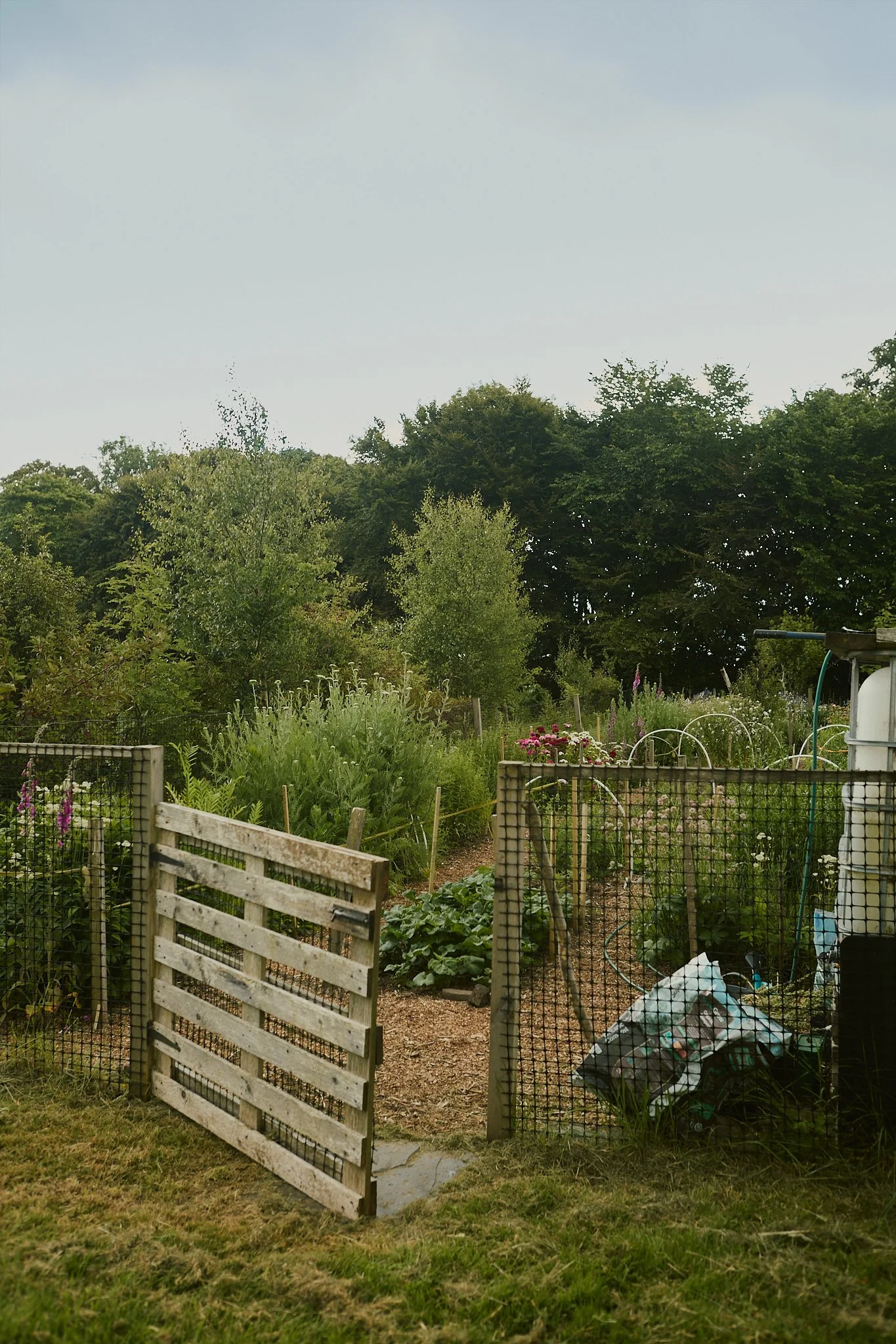 Spouse Burnside Croft - Scottish Flower Grower's Collective 12.jpg