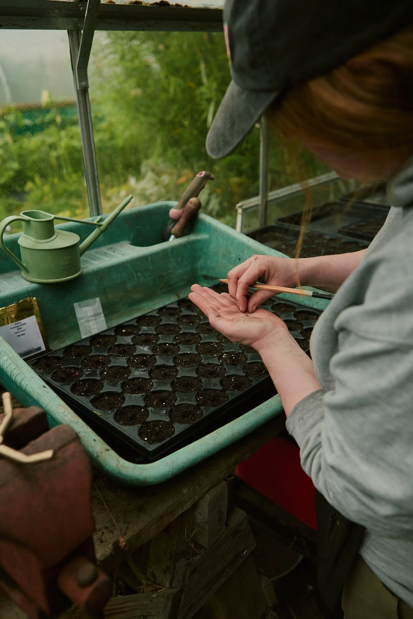 Spouse East Lothian Flower Farm - Scottish Flower Grower's Collective 29.jpg