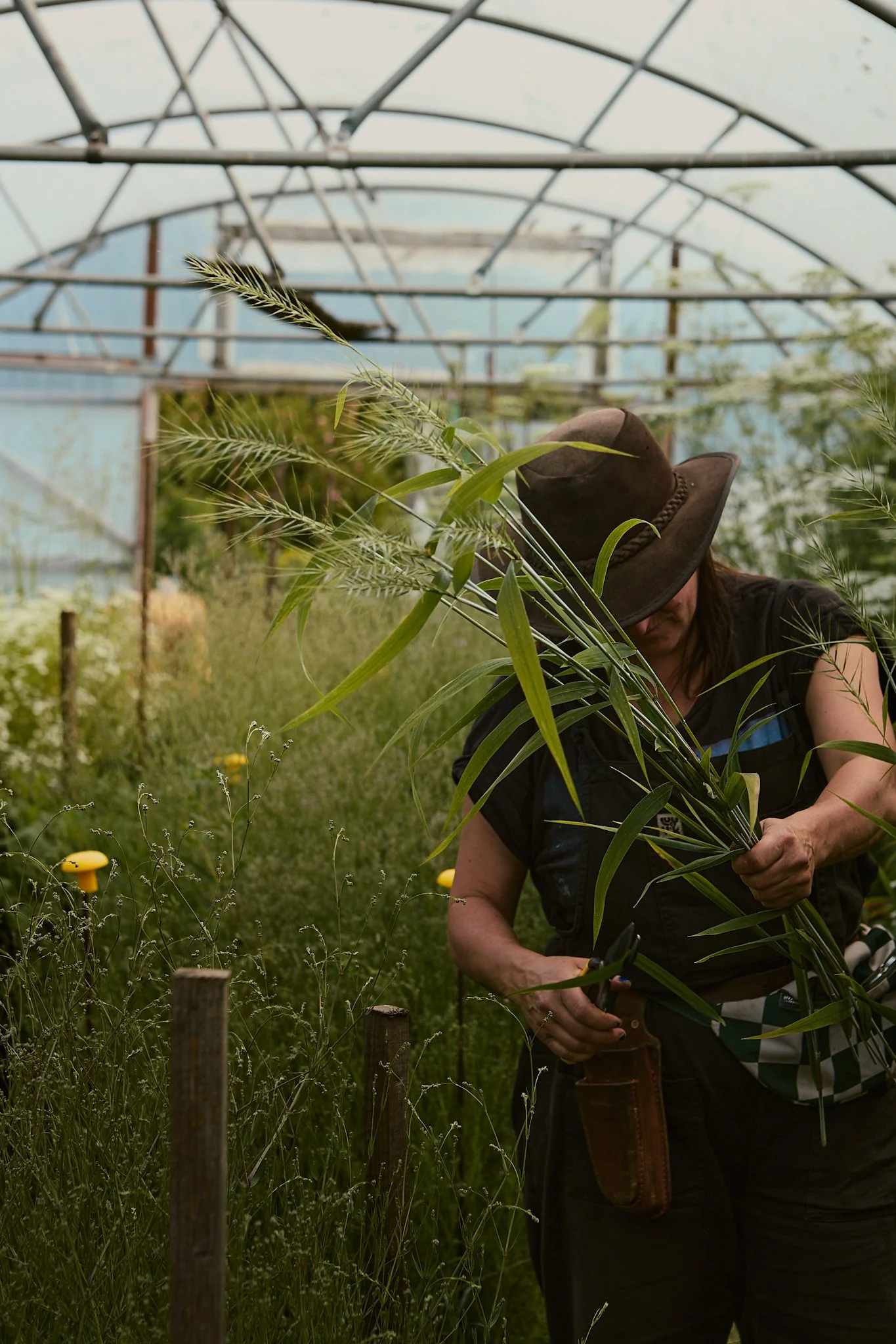 Spouse Tomnaha - Scottish Flower Grower's Collective 39.jpg