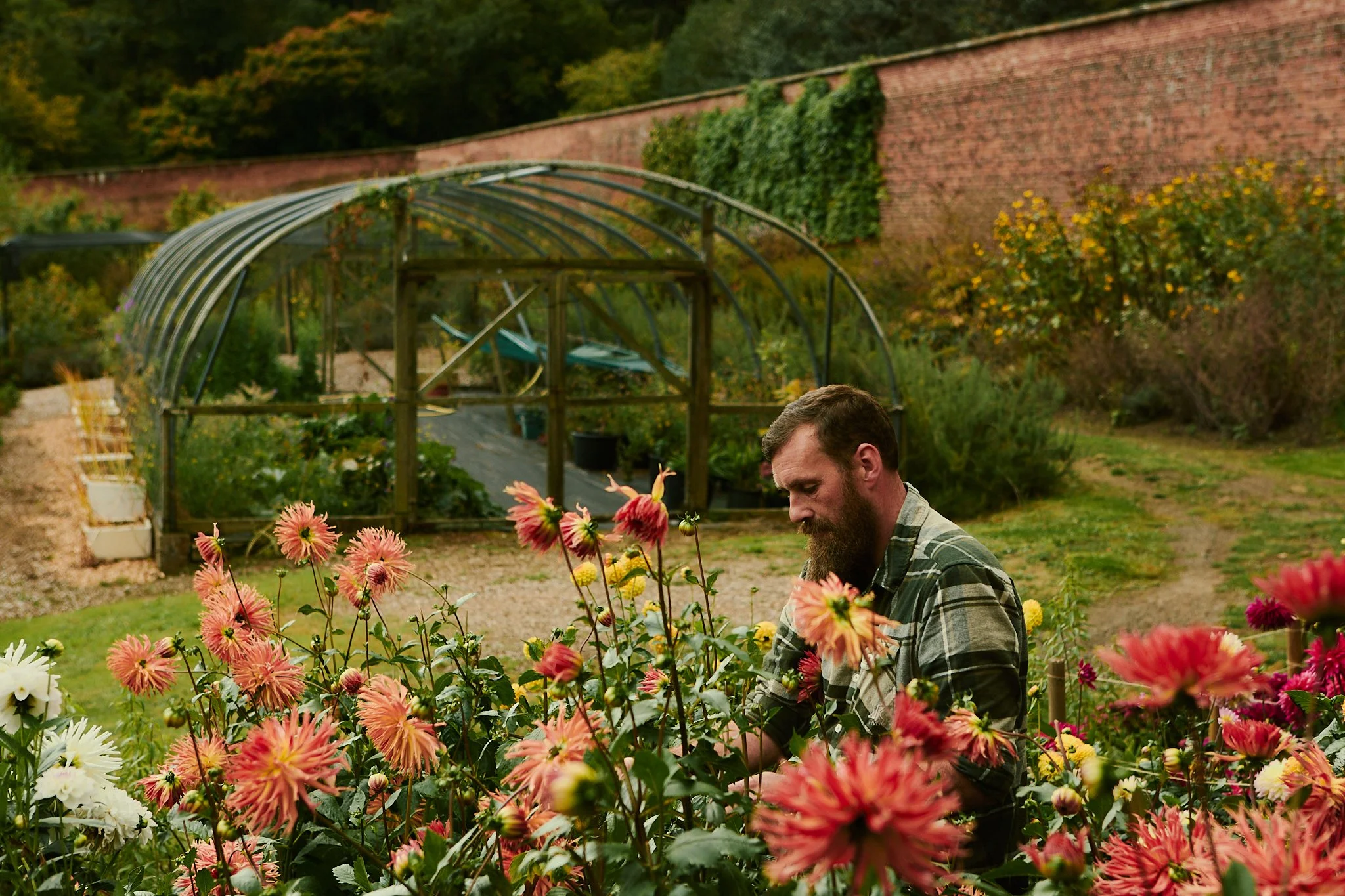 Spouse Rosebery Estate - Scottish Flower Grower Collective 152.jpg