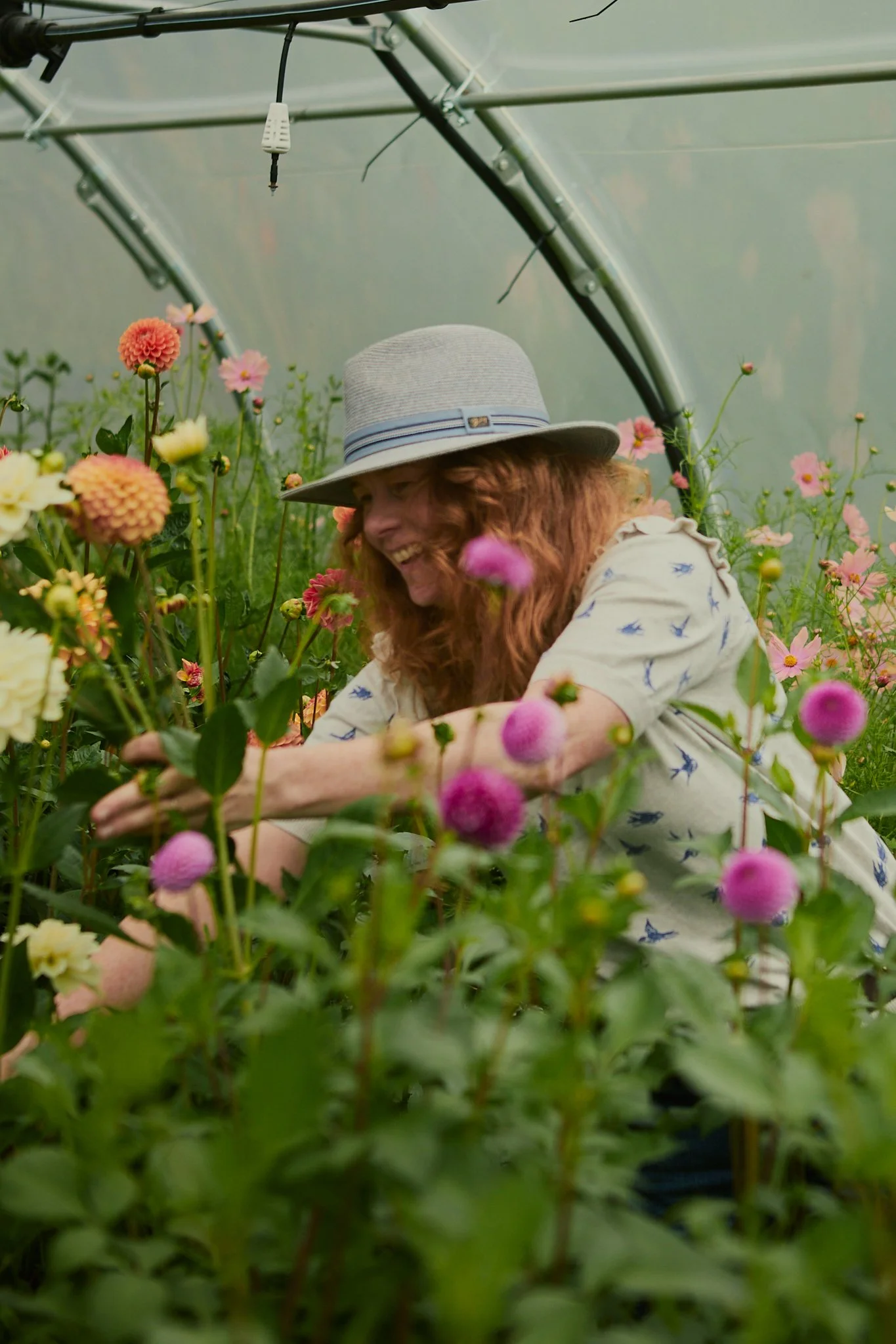 Spouse East Lothian Flower Farm - Scottish Flower Grower's Collective 44.jpg