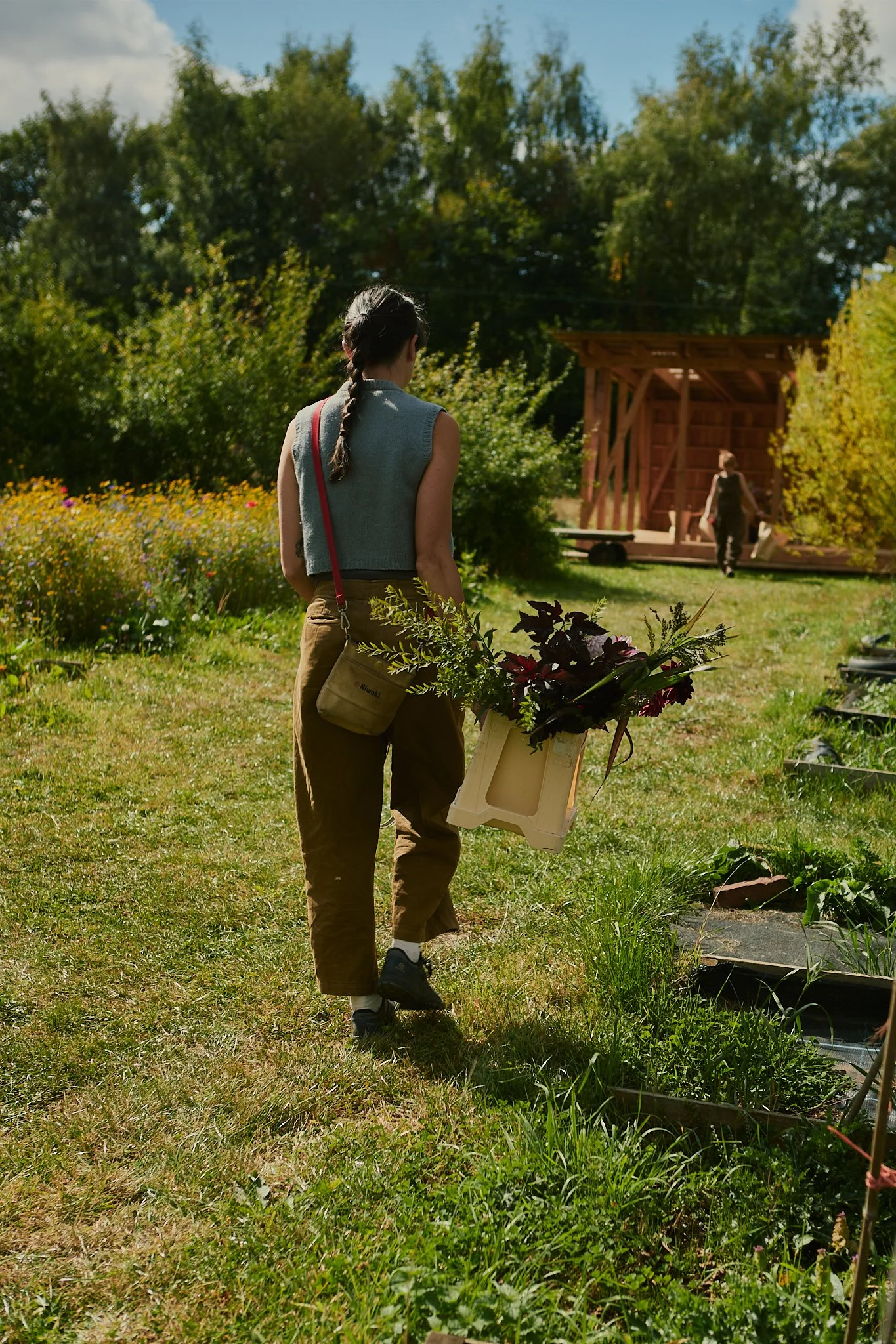 Spouse Pyrus - Scottish Flower Grower's Collective 113.jpg