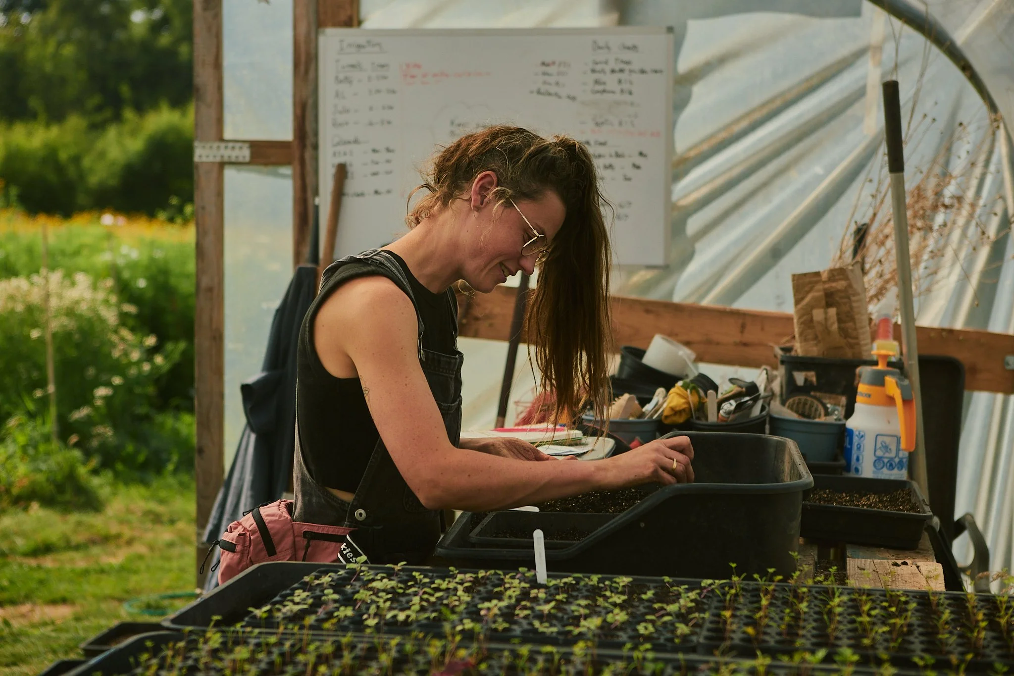 Spouse Pyrus - Scottish Flower Grower's Collective 122.jpg