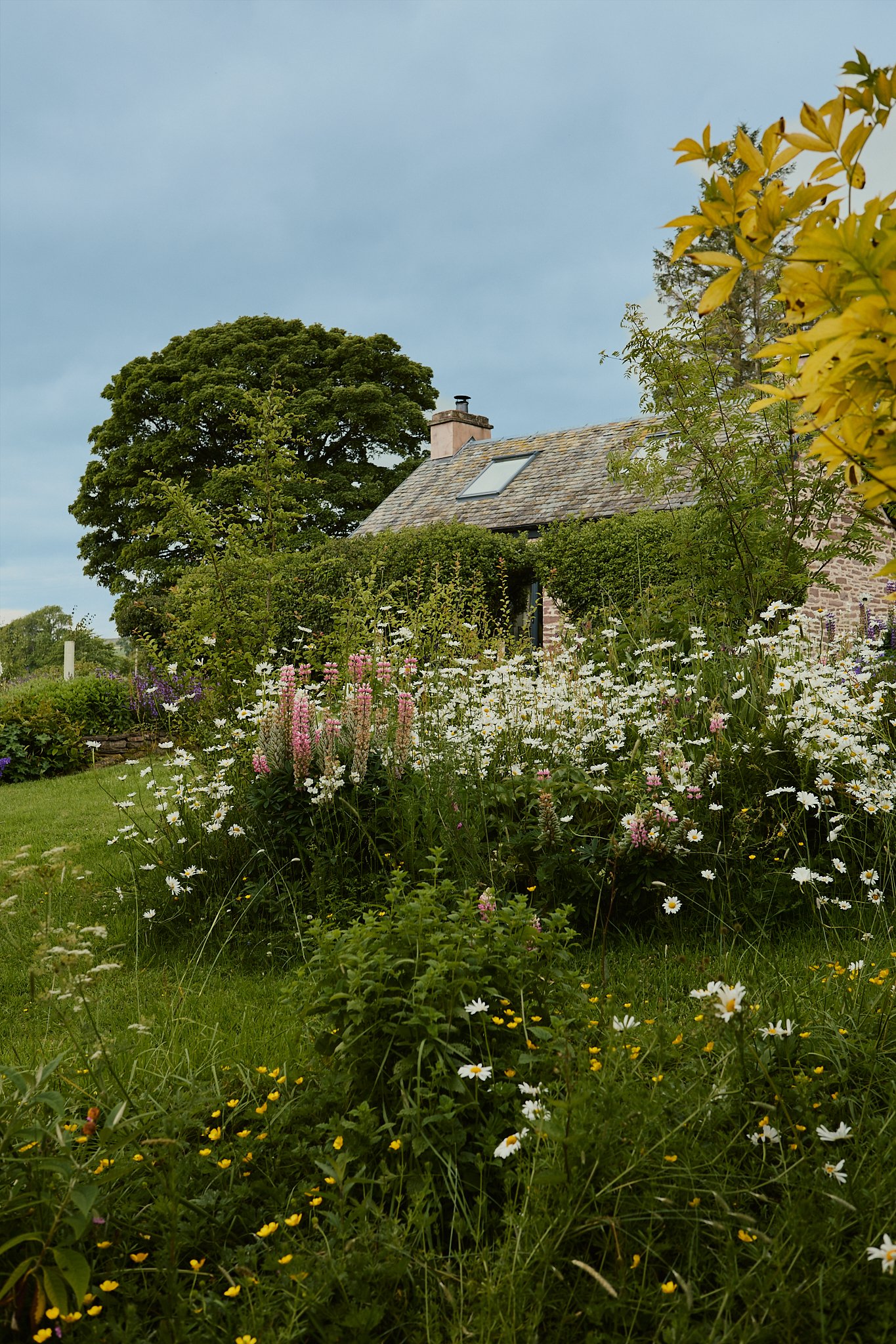 Spouse Burnside Croft - Scottish Flower Grower's Collective 17.jpg