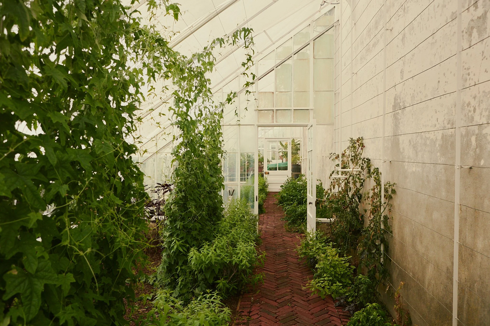 Spouse Rosebery Estate - Scottish Flower Grower Collective 174.jpg