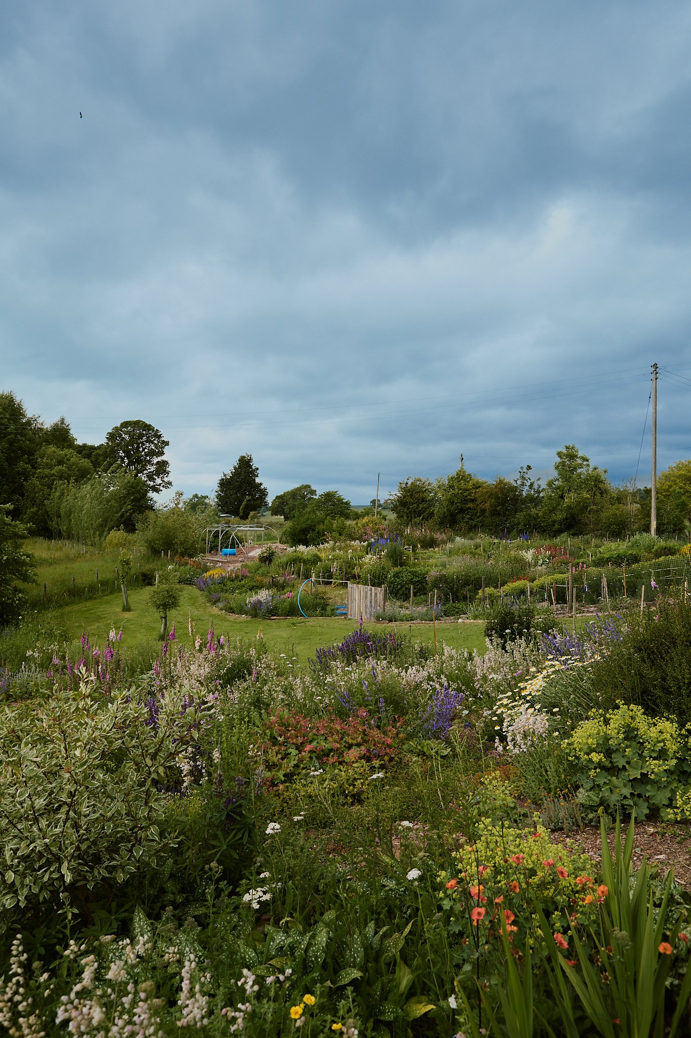Spouse Burnside Croft - Scottish Flower Grower's Collective 22.jpg