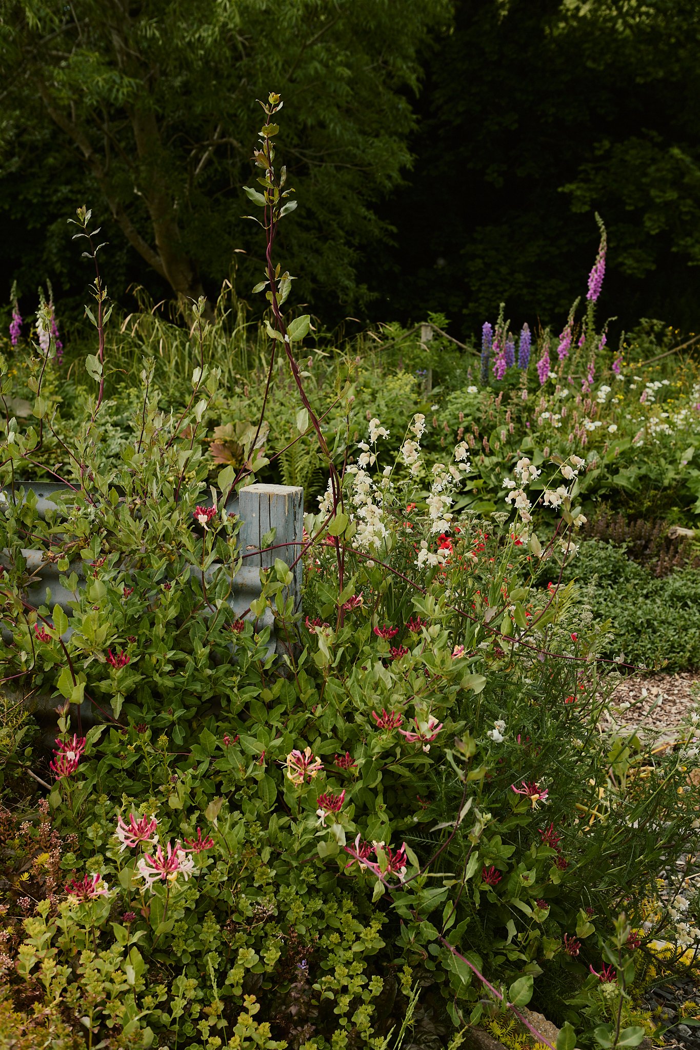 Spouse Burnside Croft - Scottish Flower Grower's Collective 19.jpg