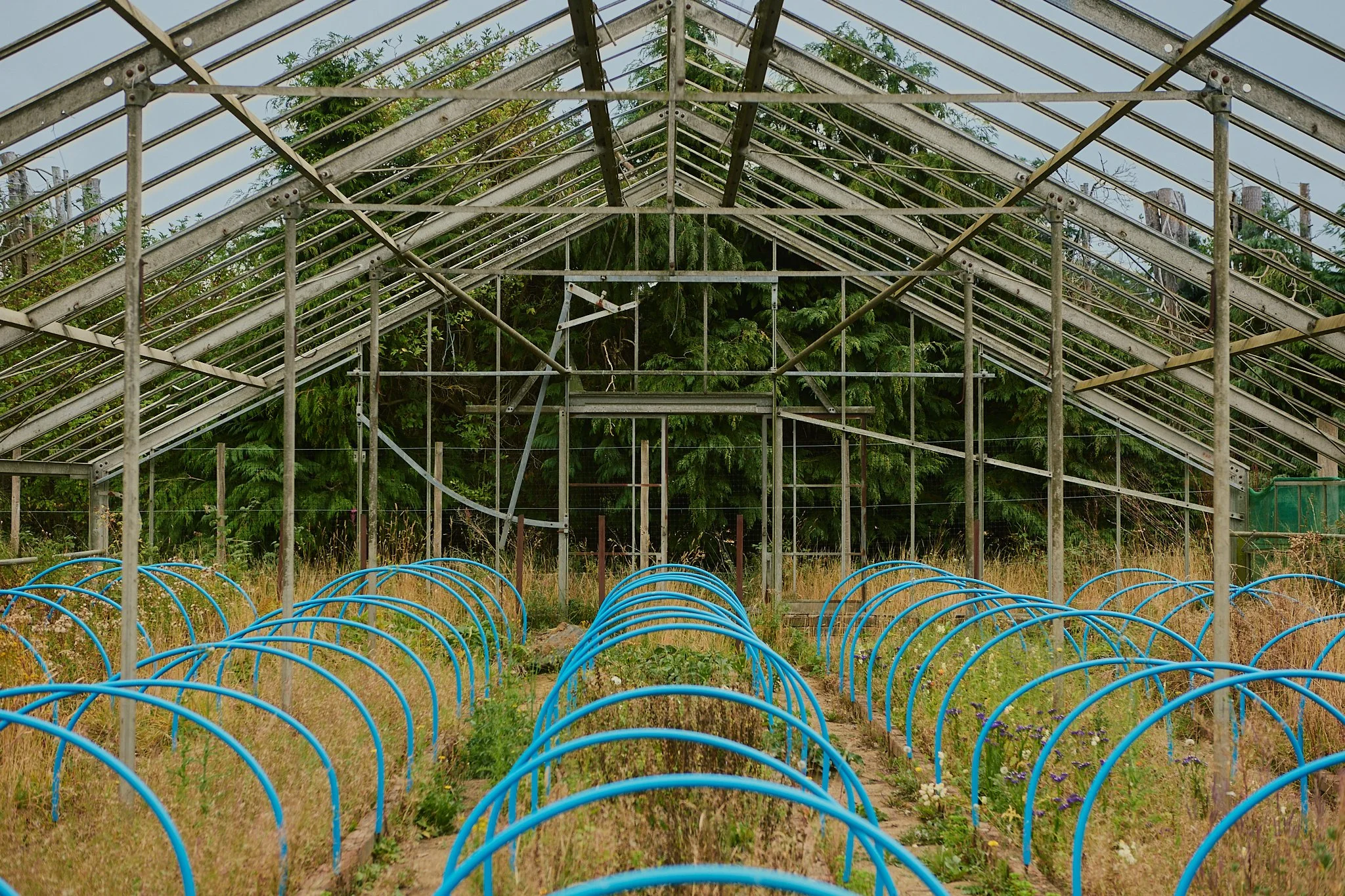 Spouse East Lothian Flower Farm - Scottish Flower Grower's Collective 10.jpg