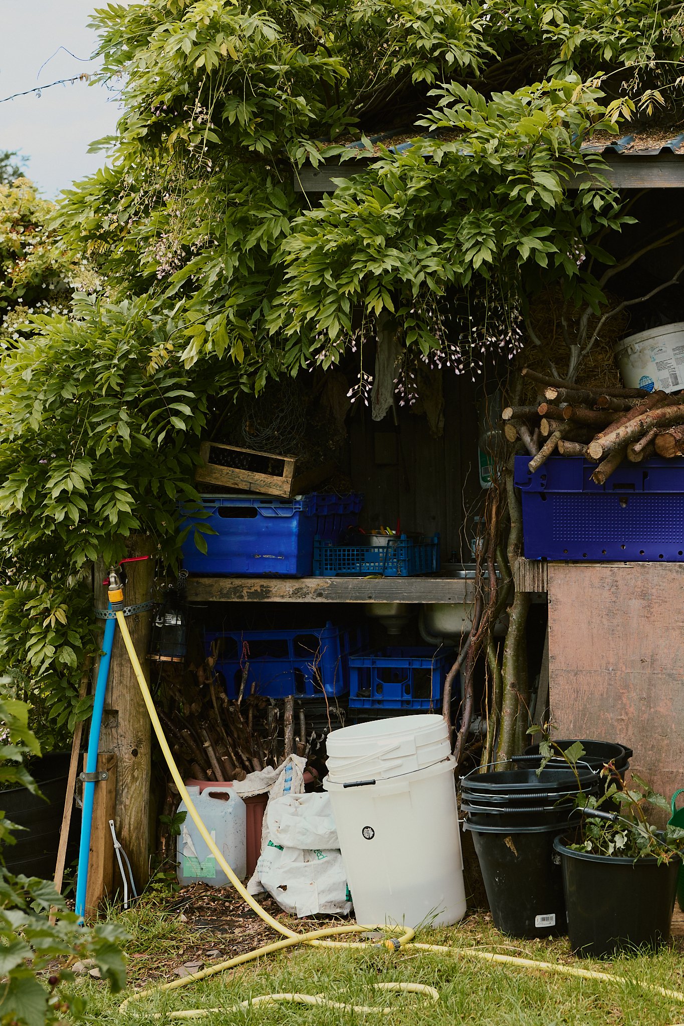 Spouse Tomnaha - Scottish Flower Grower's Collective 48.jpg
