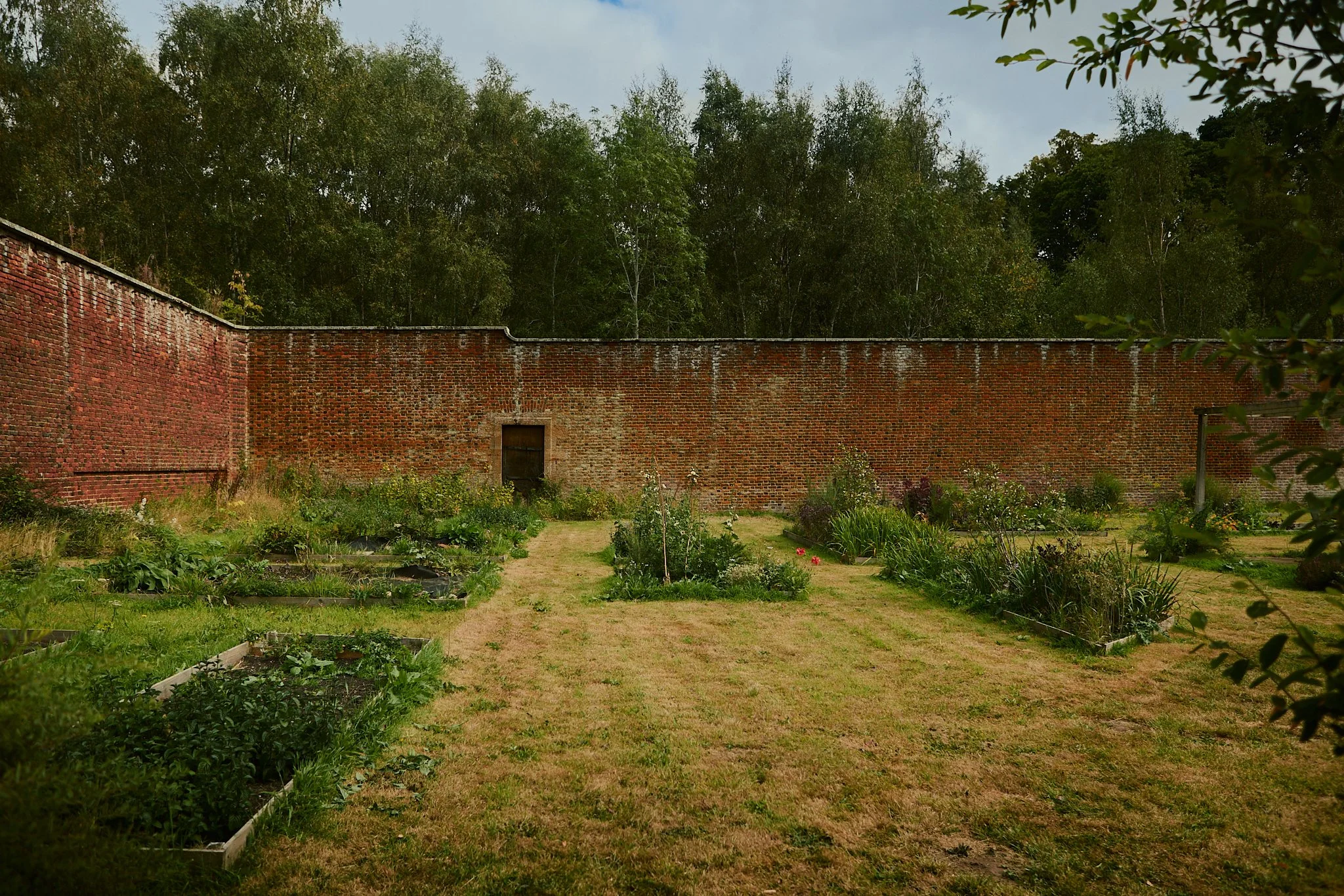 Spouse Pyrus - Scottish Flower Grower's Collective 75.jpg