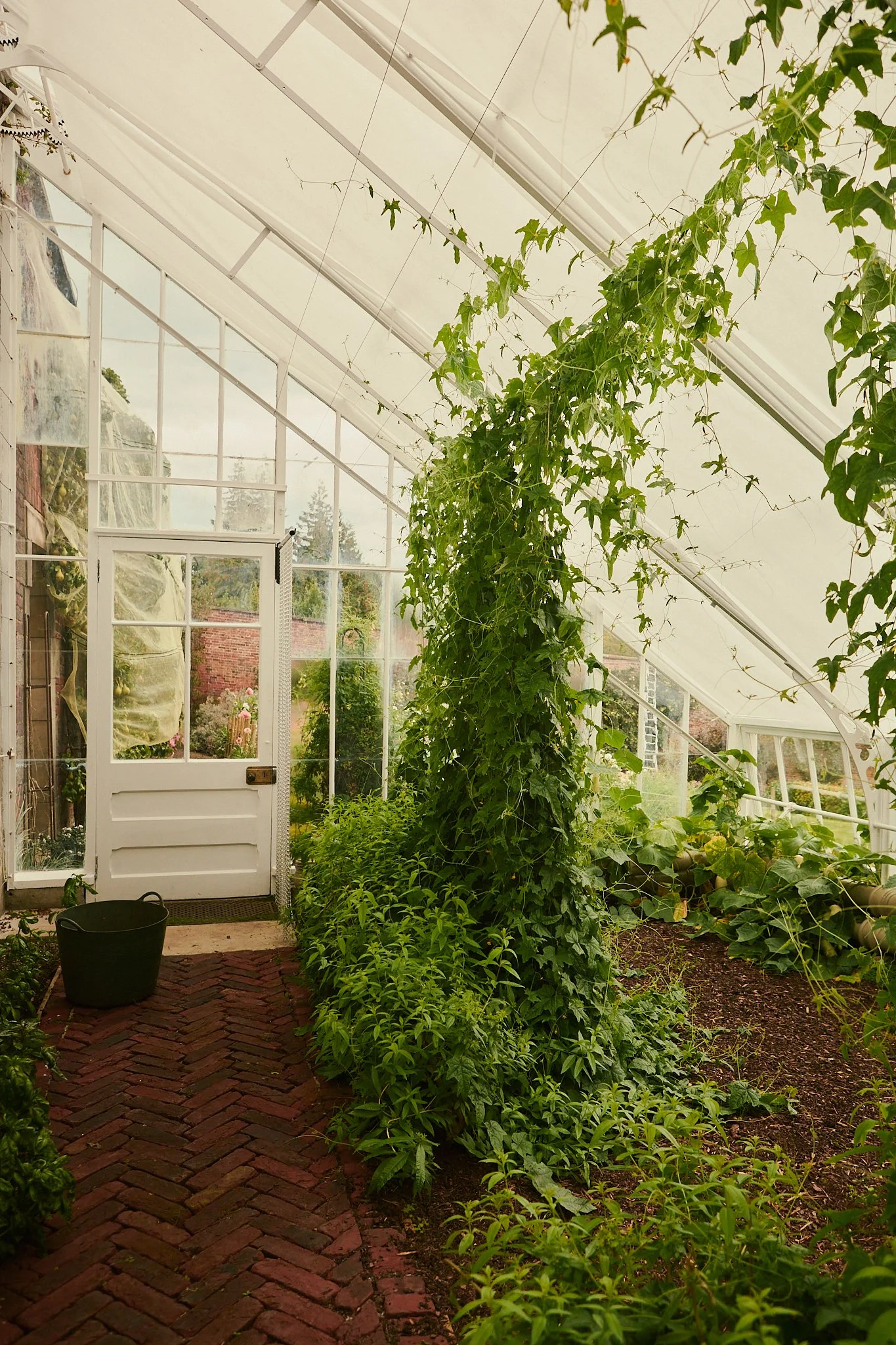 Spouse Rosebery Estate - Scottish Flower Grower Collective 172.jpg