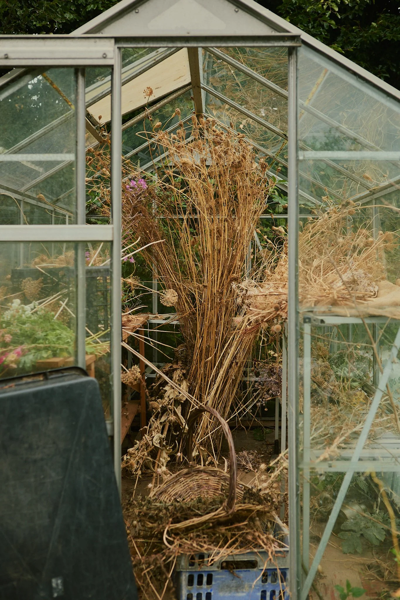 Spouse East Lothian Flower Farm - Scottish Flower Grower's Collective 27.jpg