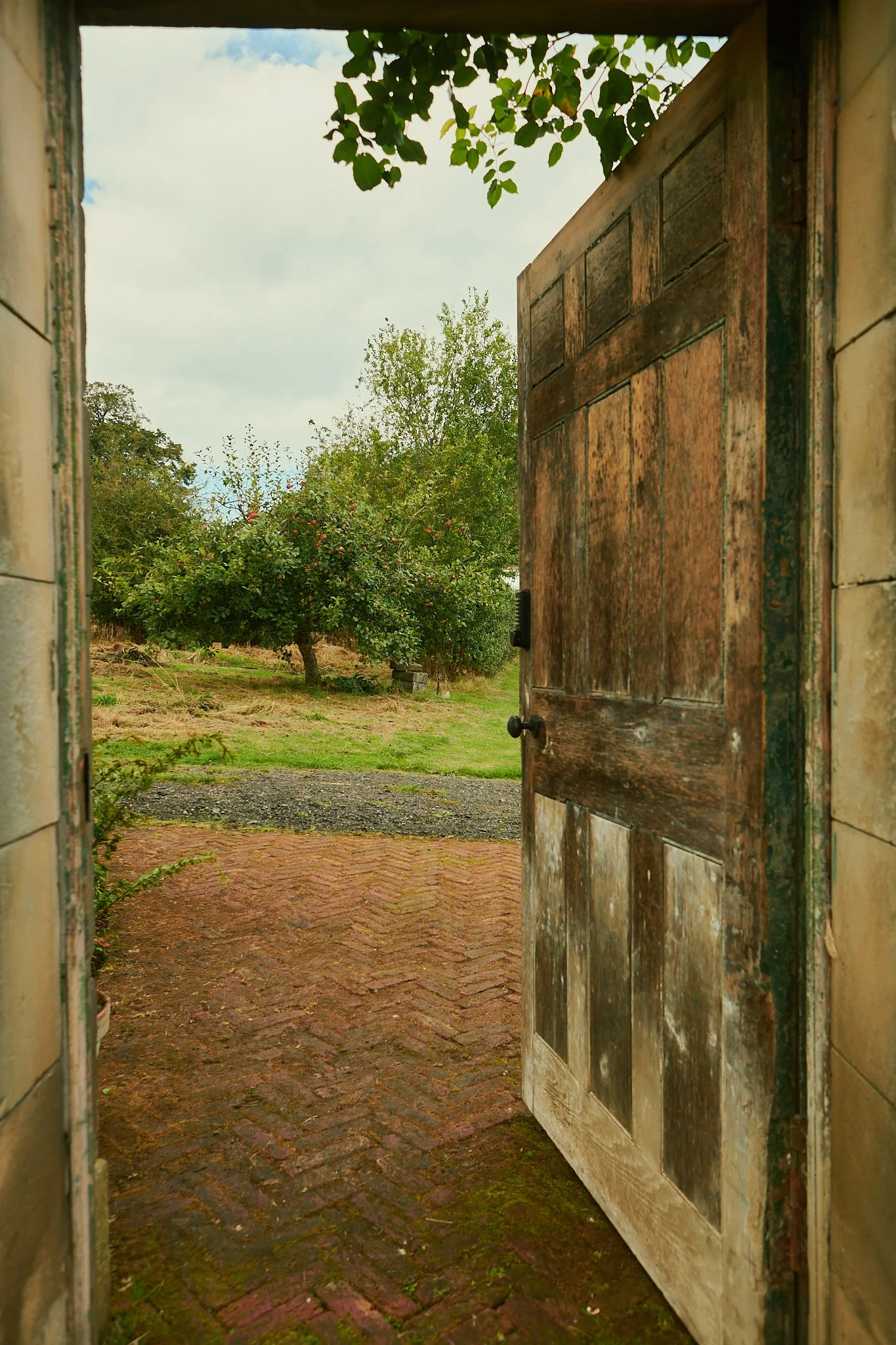 Spouse Rosebery Estate - Scottish Flower Grower Collective 132.jpg