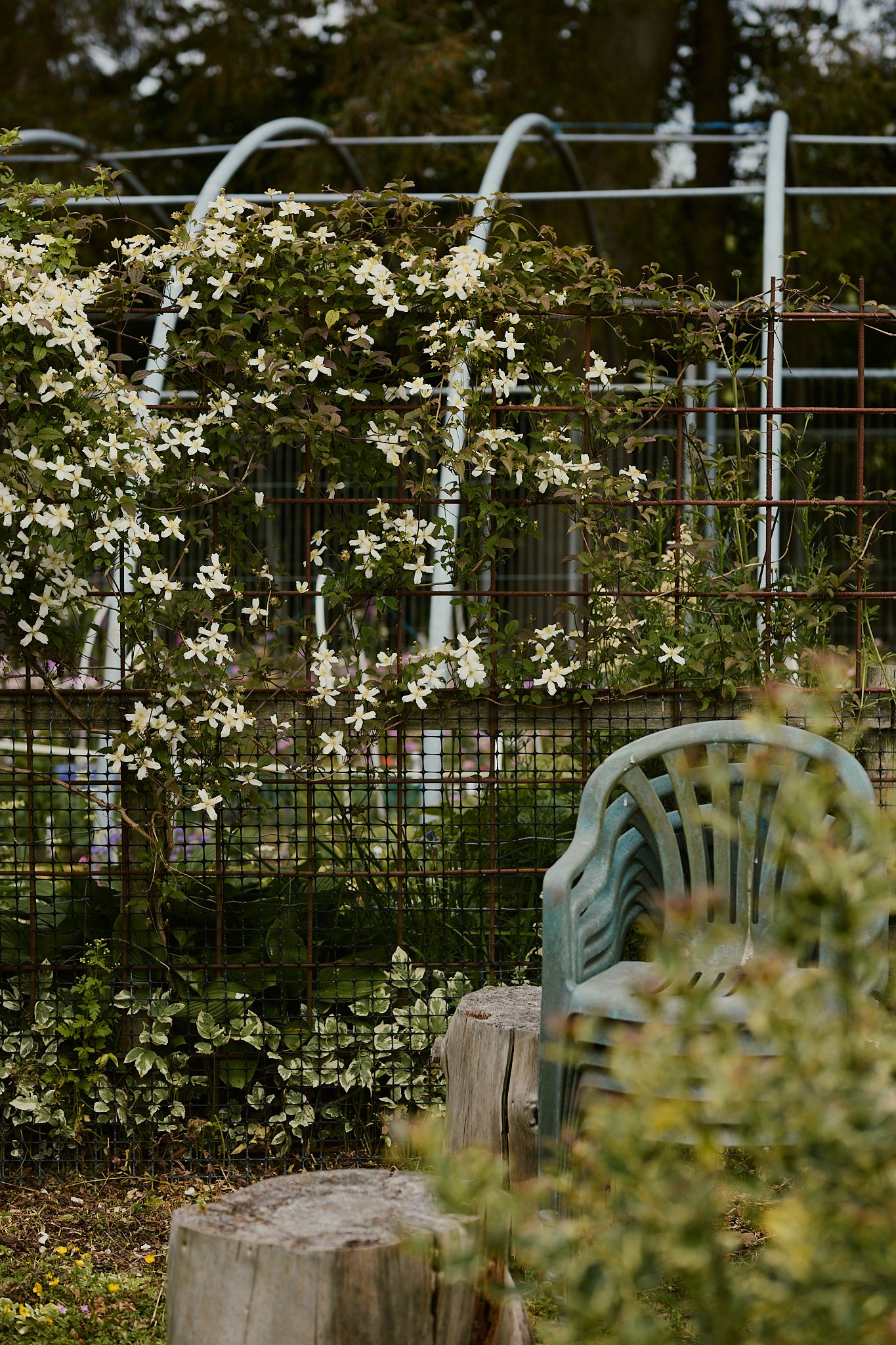Spouse Burnside Croft - Scottish Flower Grower's Collective 37.jpg