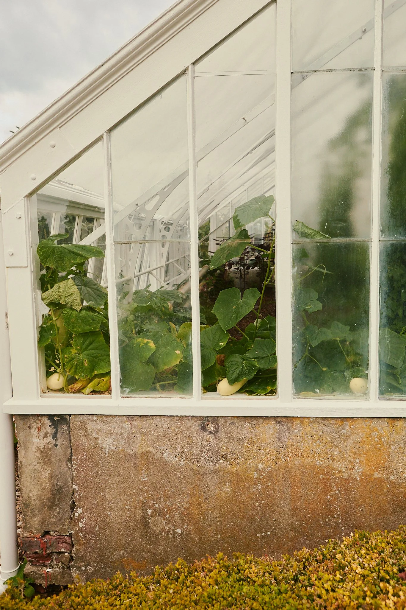 Spouse Rosebery Estate - Scottish Flower Grower Collective 175.jpg
