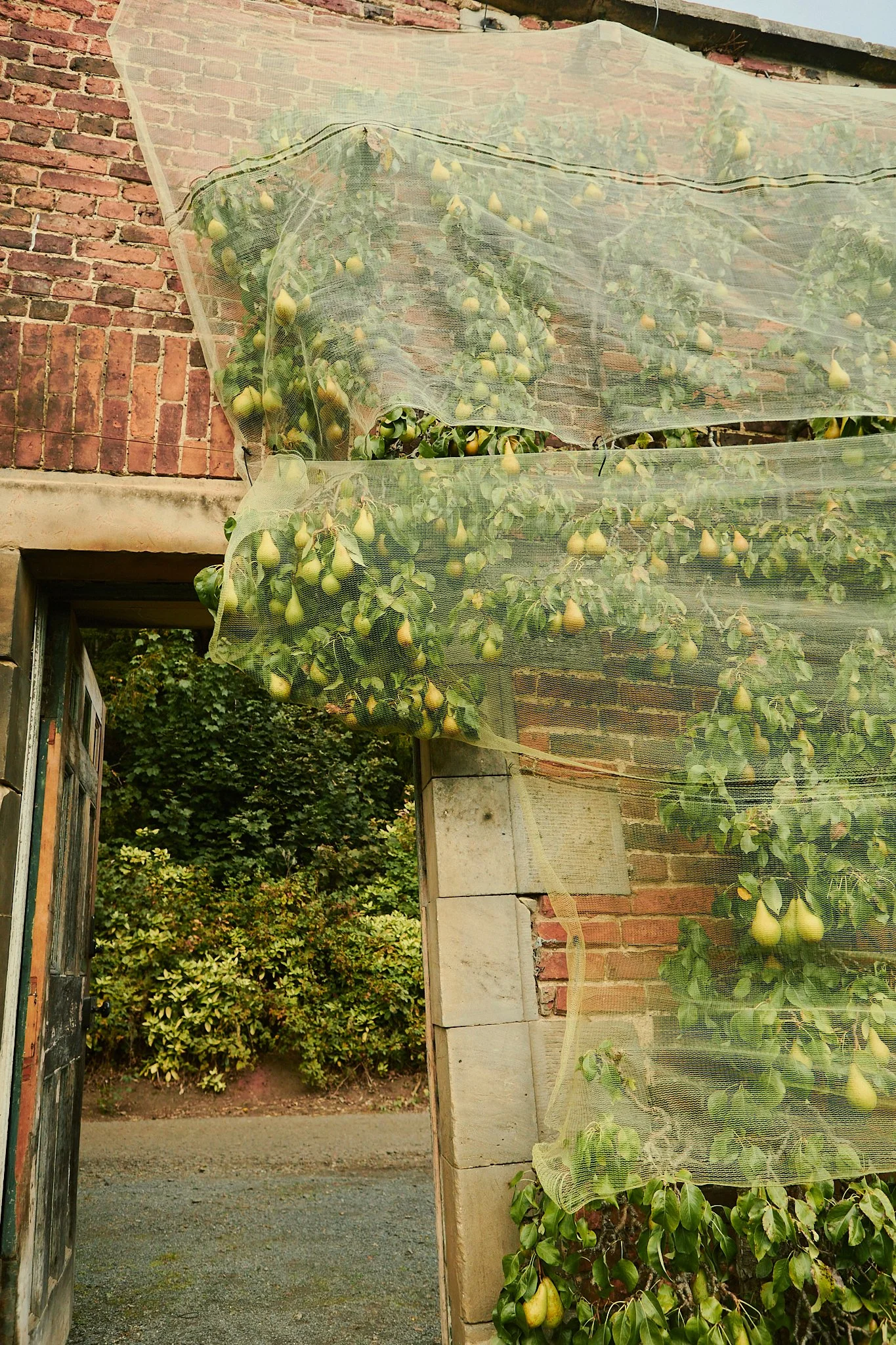 Spouse Rosebery Estate - Scottish Flower Grower Collective 155.jpg