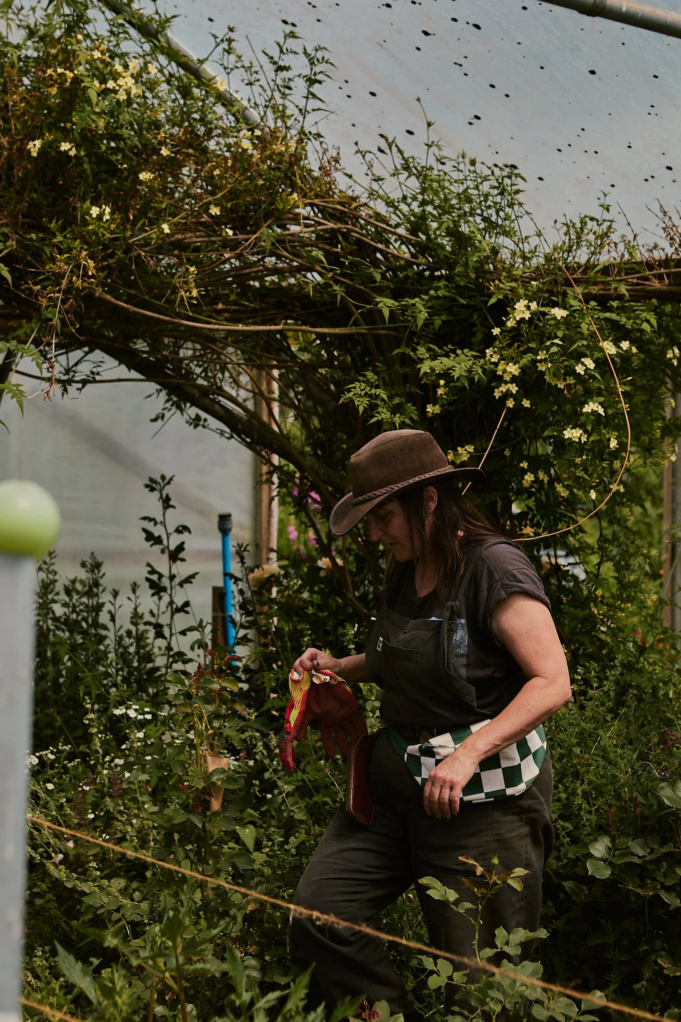 Spouse Tomnaha - Scottish Flower Grower's Collective 11.jpg