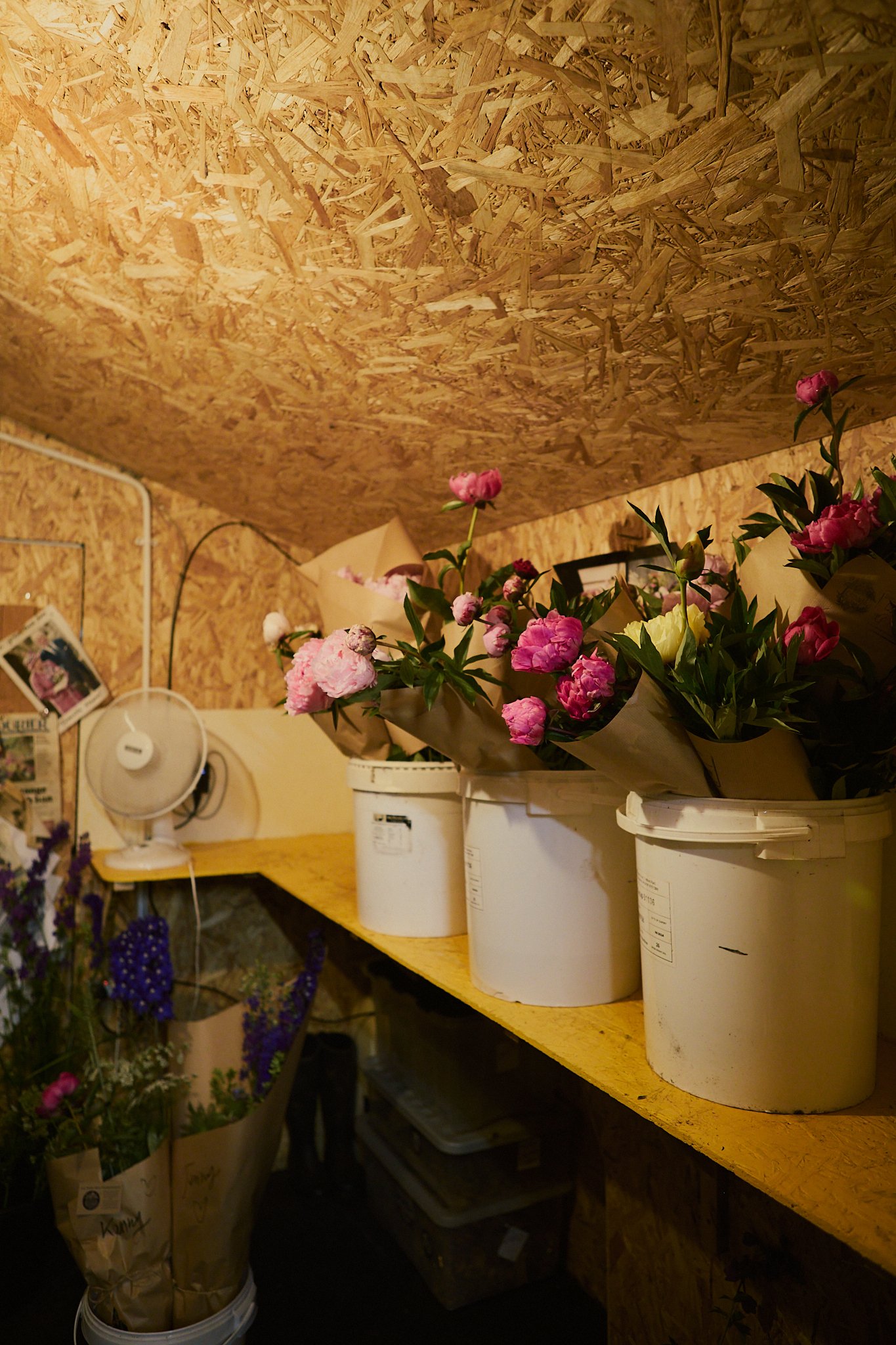 Spouse Tomnaha - Scottish Flower Grower's Collective 46.jpg
