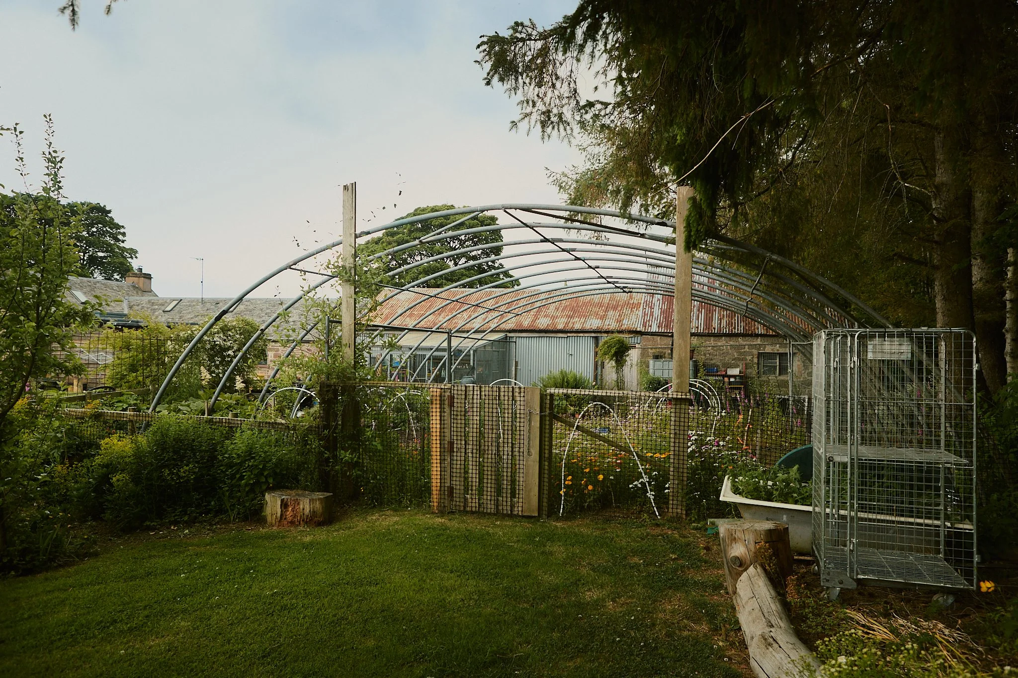 Spouse Burnside Croft - Scottish Flower Grower's Collective 10.jpg