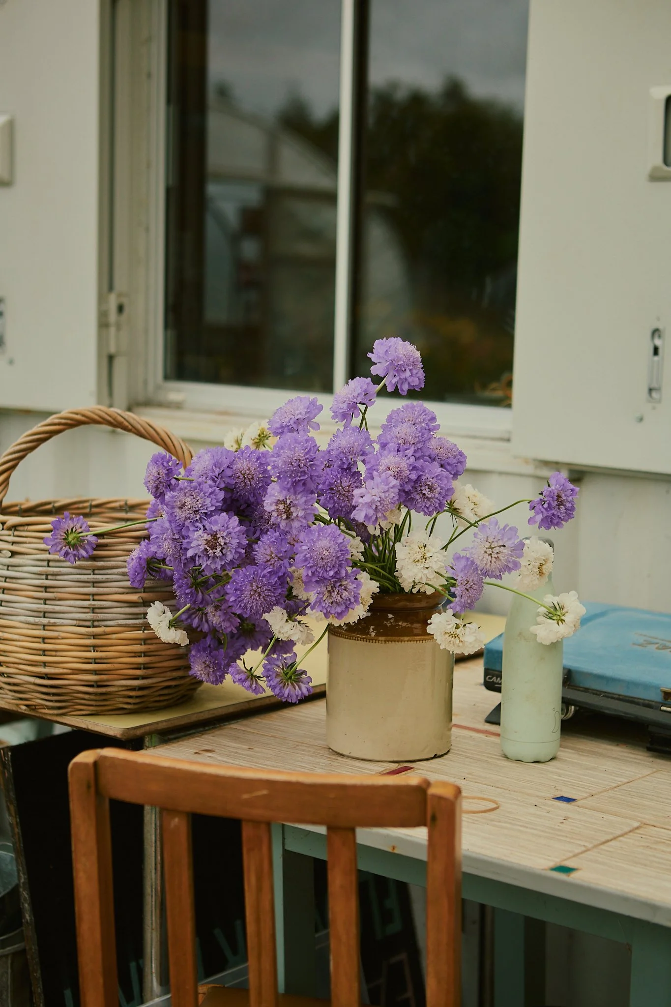 Spouse East Lothian Flower Farm - Scottish Flower Grower's Collective 11.jpg