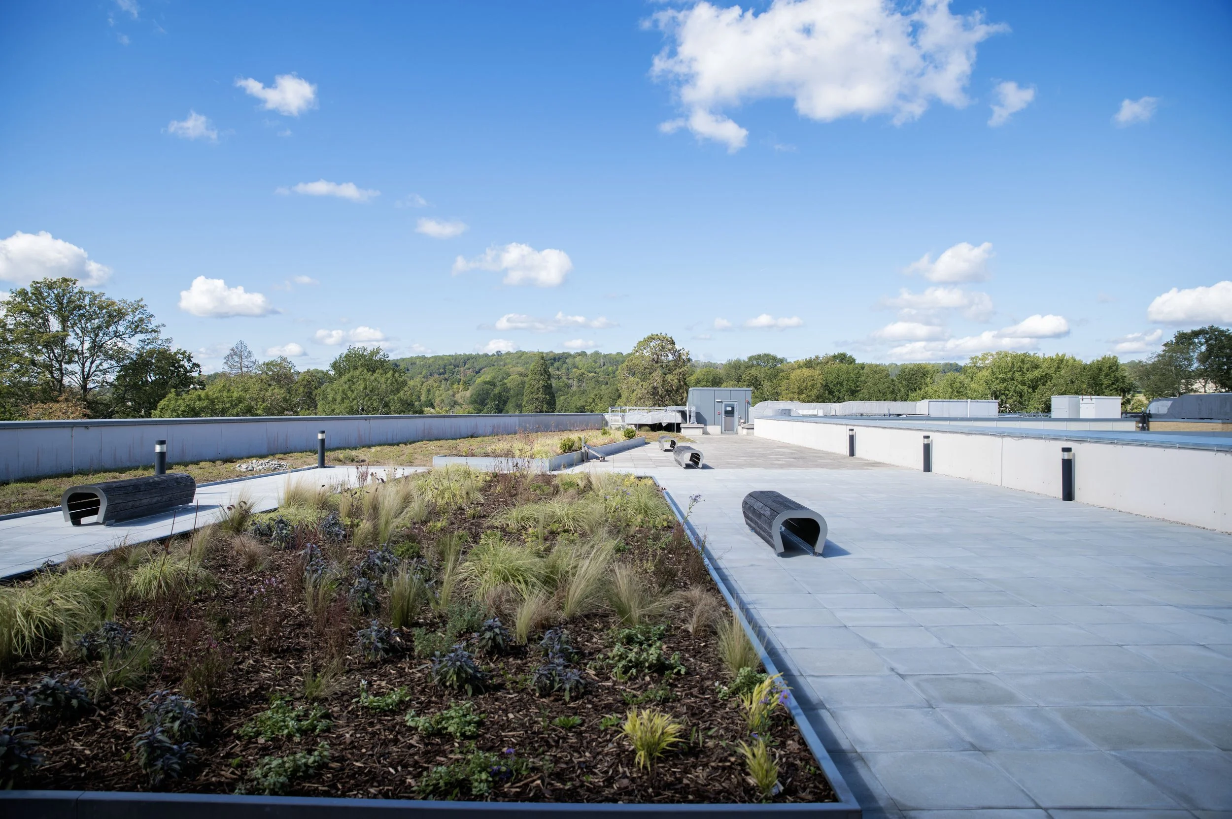 EAST SURREY COLLEGE - ROOF TERRACE REFURBISHMENT