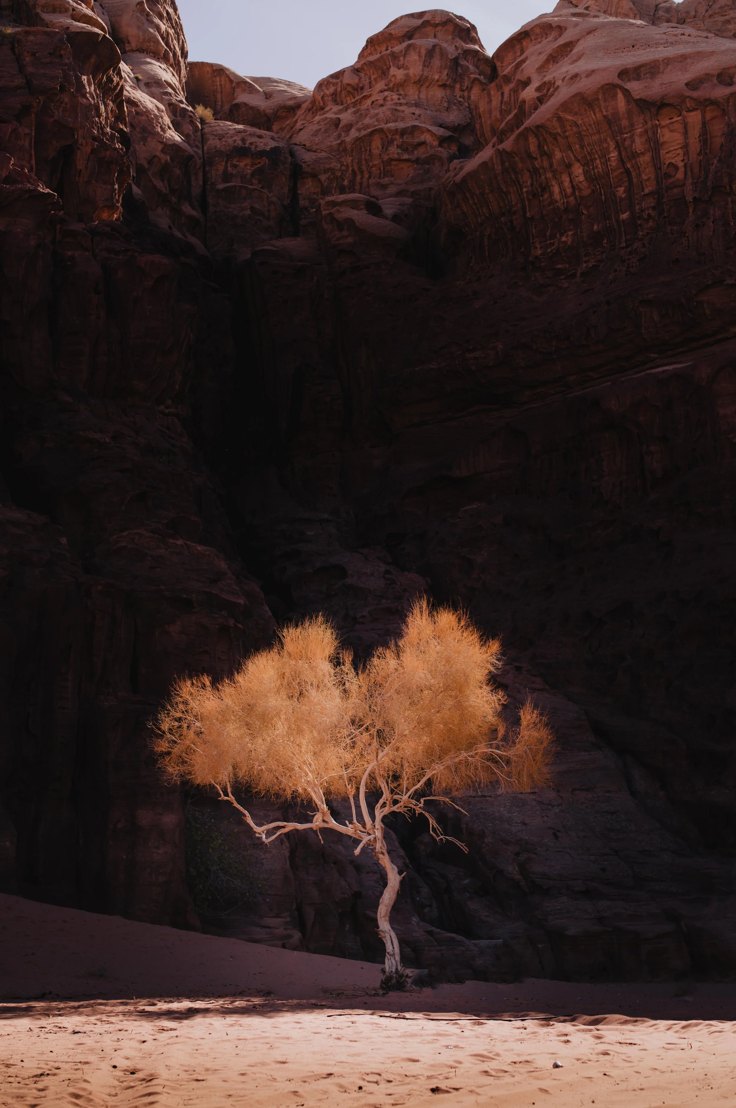 L1004062.jpg