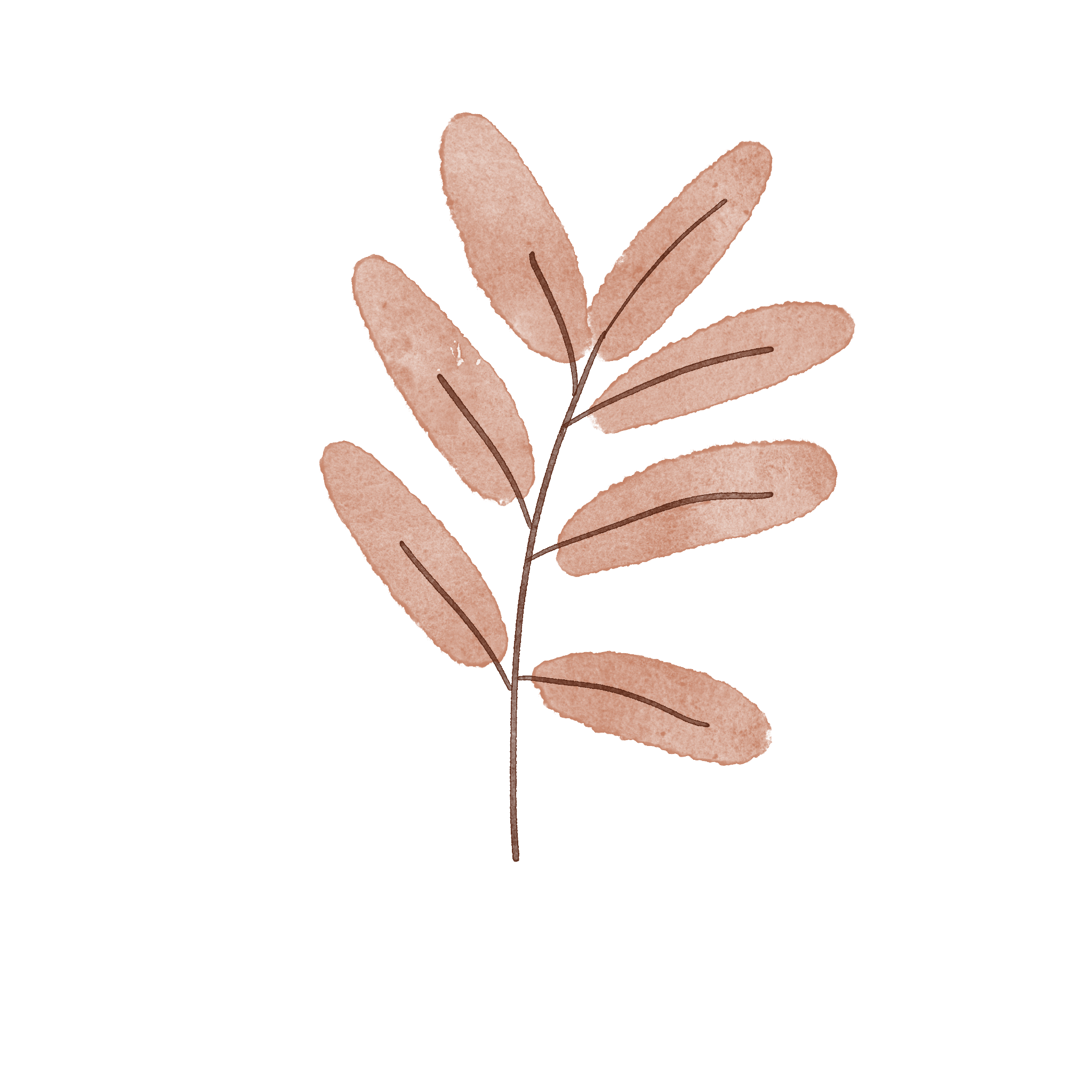 Illustration of a brown leaf with multiple oval leaflets on a dark background.