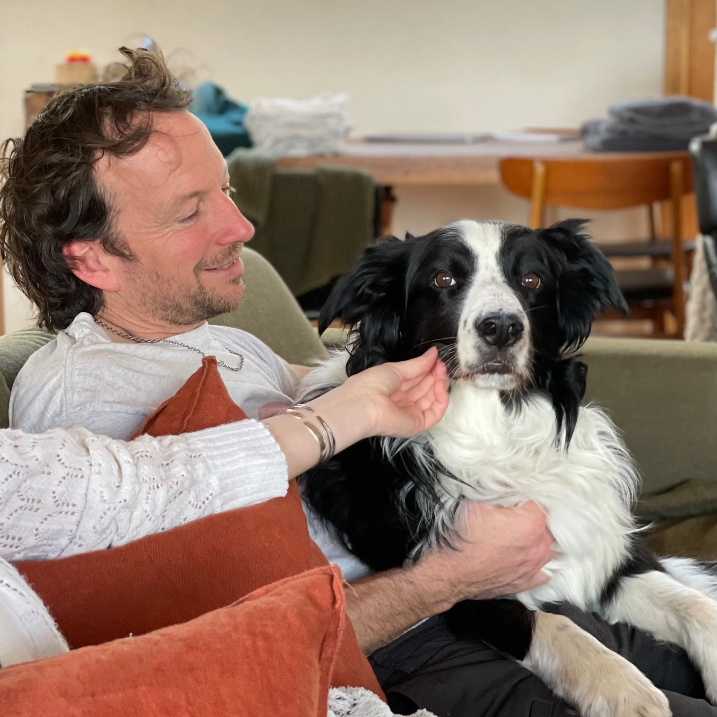 fear free dog training