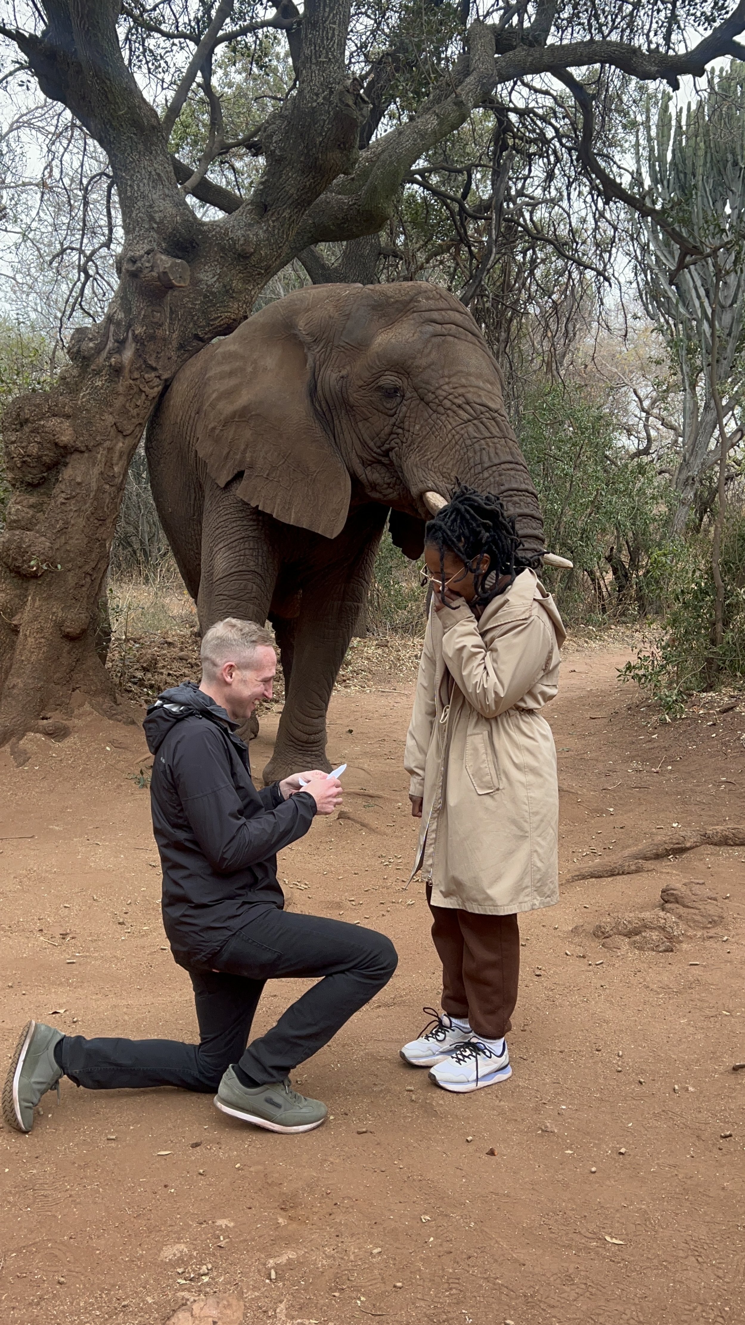 On the 21st of Sep '24, Justin proposed to Nandiwe in Haarties. The elephant handed her the box, and Justin took the box and went on one knee.