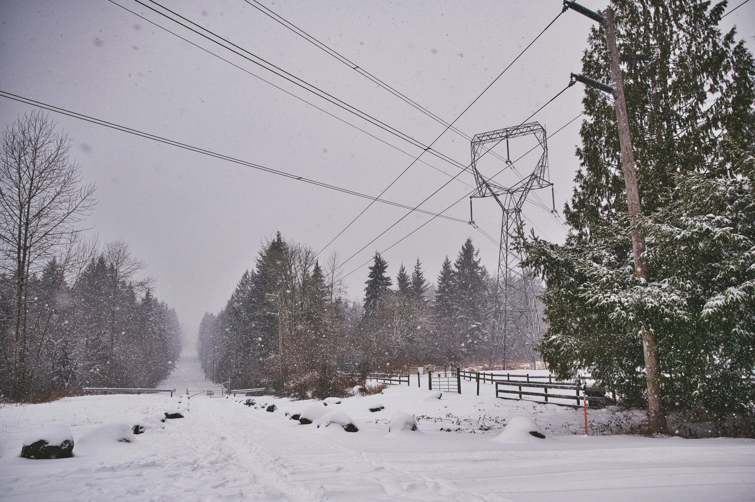 Beneficial Electrification and Winter Storms: How Winter Peak Demand Is Changing the Energy and Utilities Industry