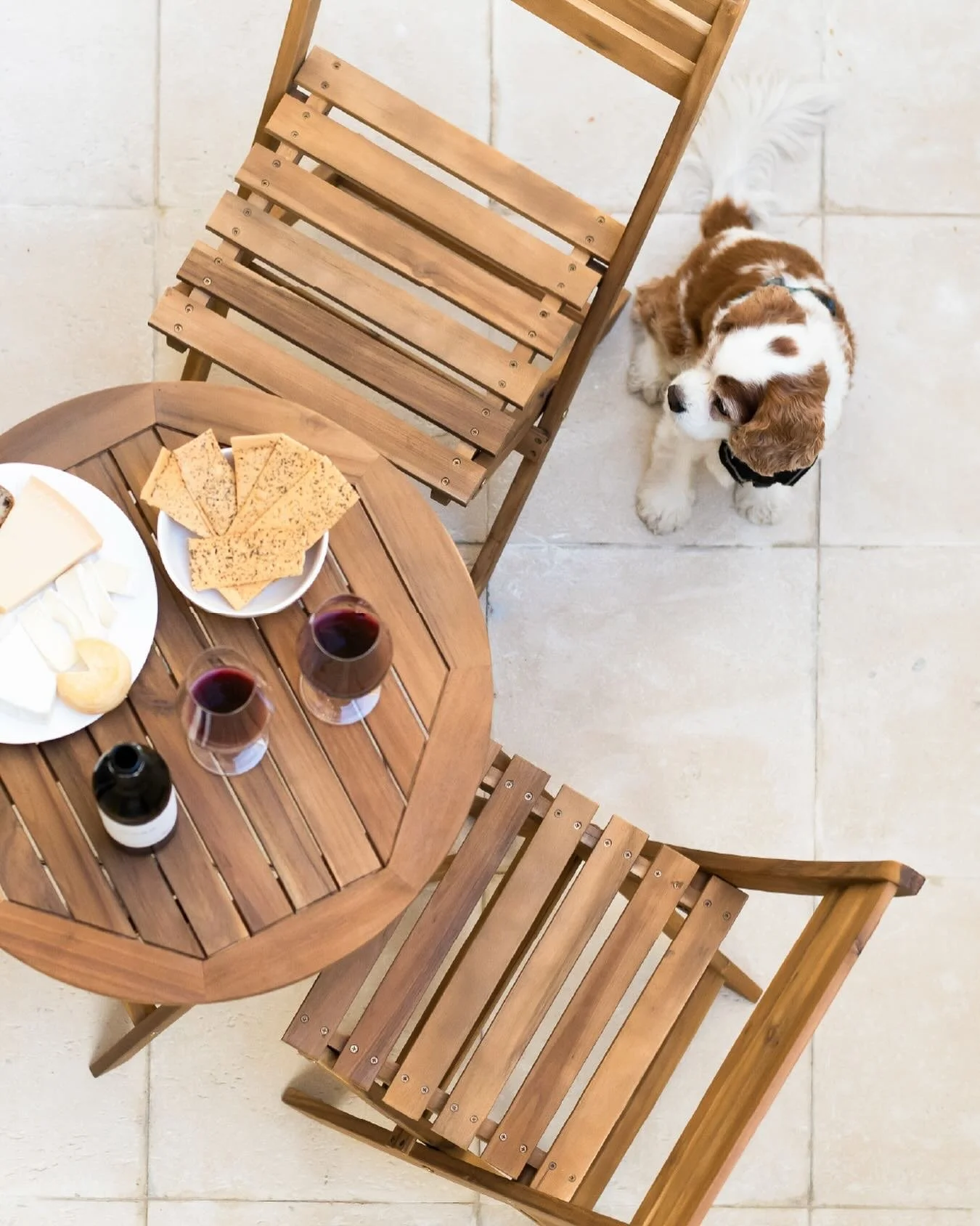 Because good stays include everyone — even your best friend 🐾
Stay, relax, repeat.
Pet-friendly comfort at The Haus.