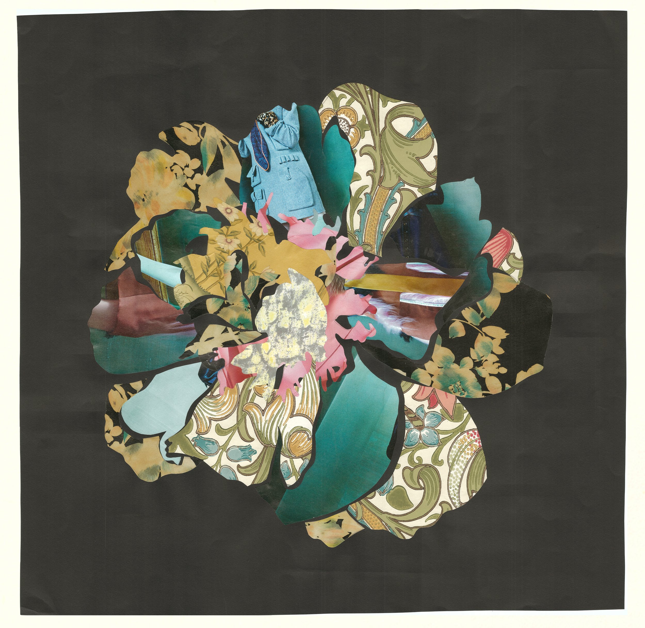 Collage.jpg