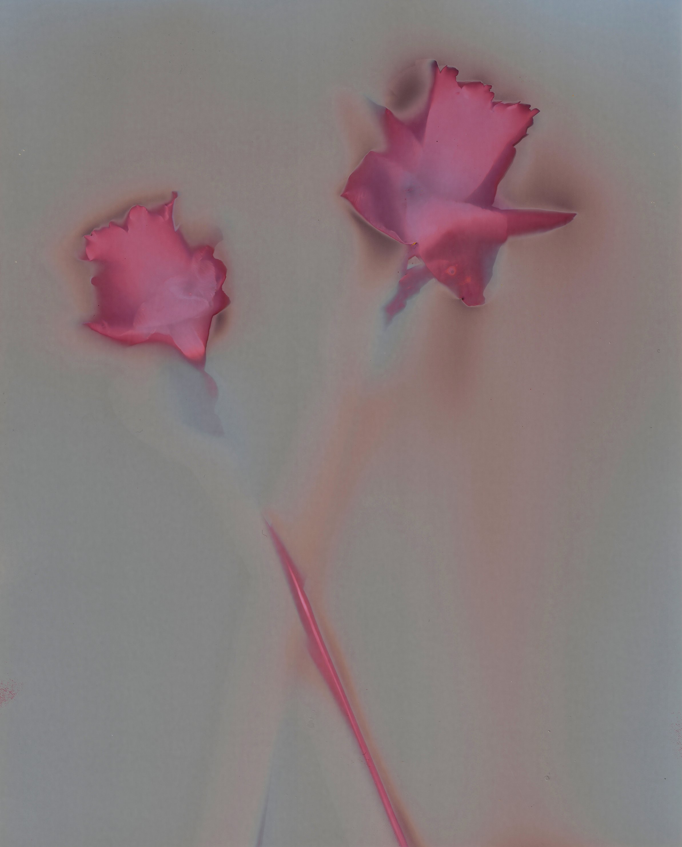 Scan2025-03-31_171440.jpg
