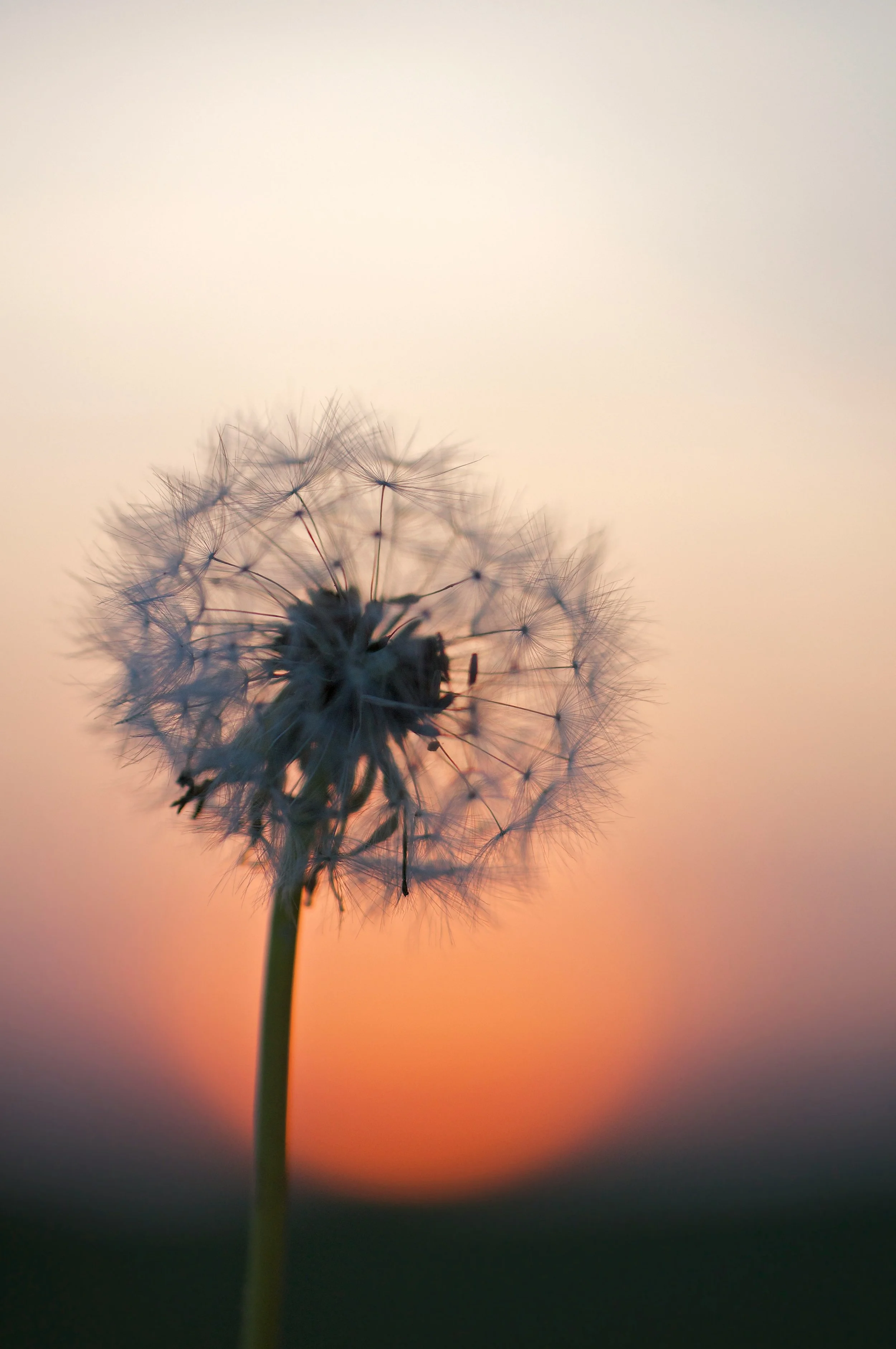 Acceptance and Commitment Therapy (ACT): A Powerful Tool for Chronic Pain Management