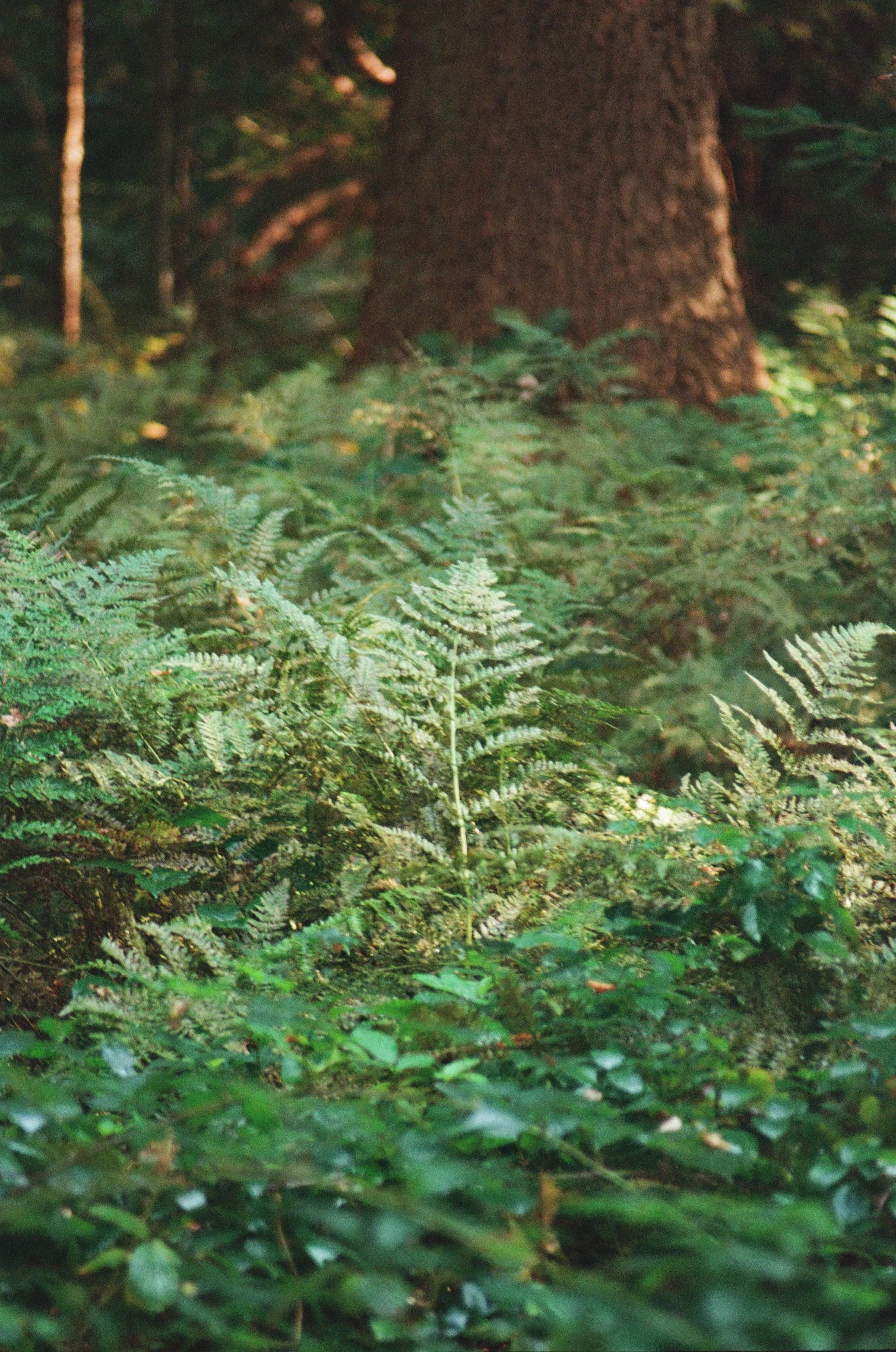 2170_17.jpg